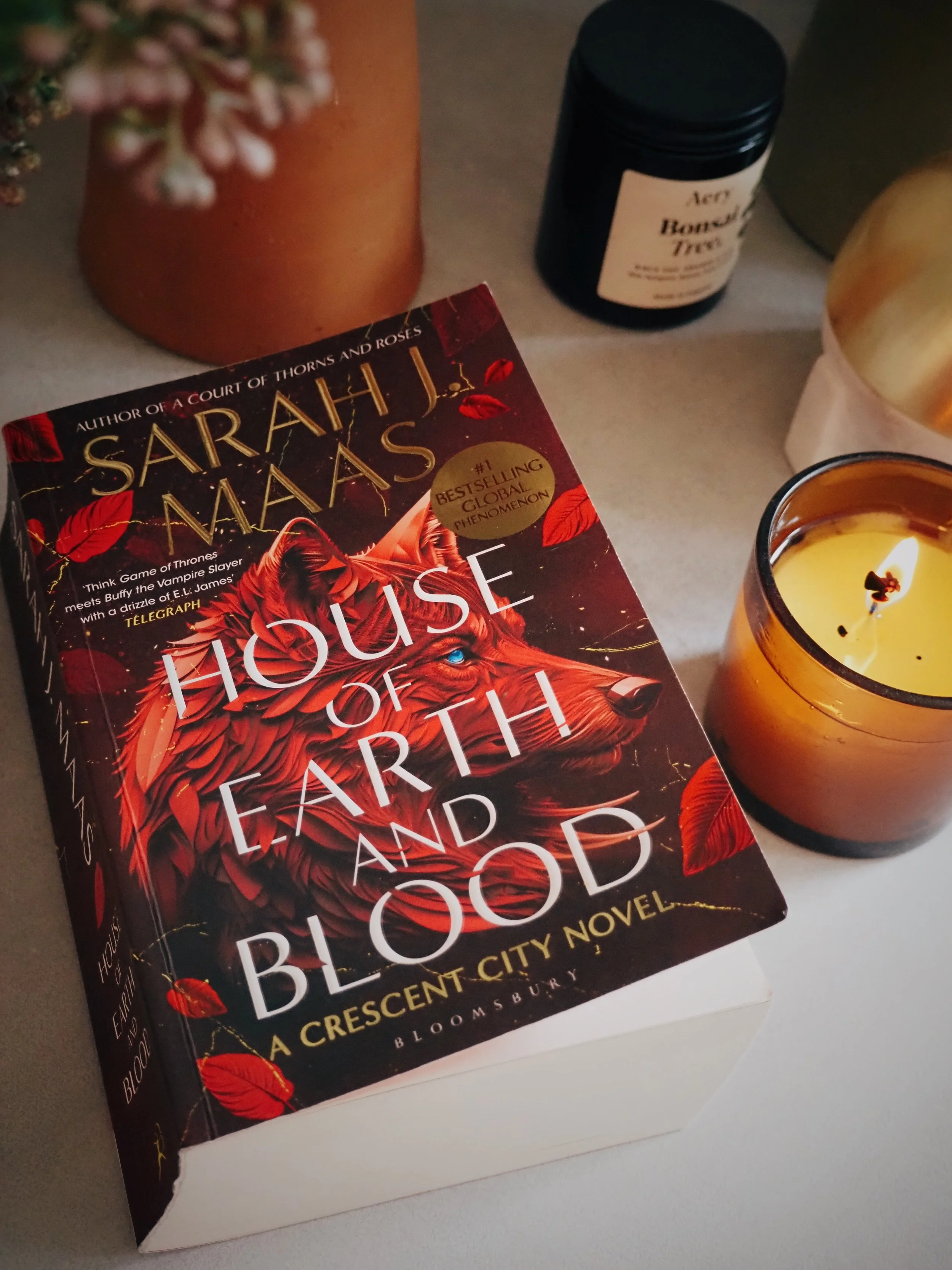 House Of Earth And Blood, Review by The Swoon Society Romantasy readers, bookish, book caps.