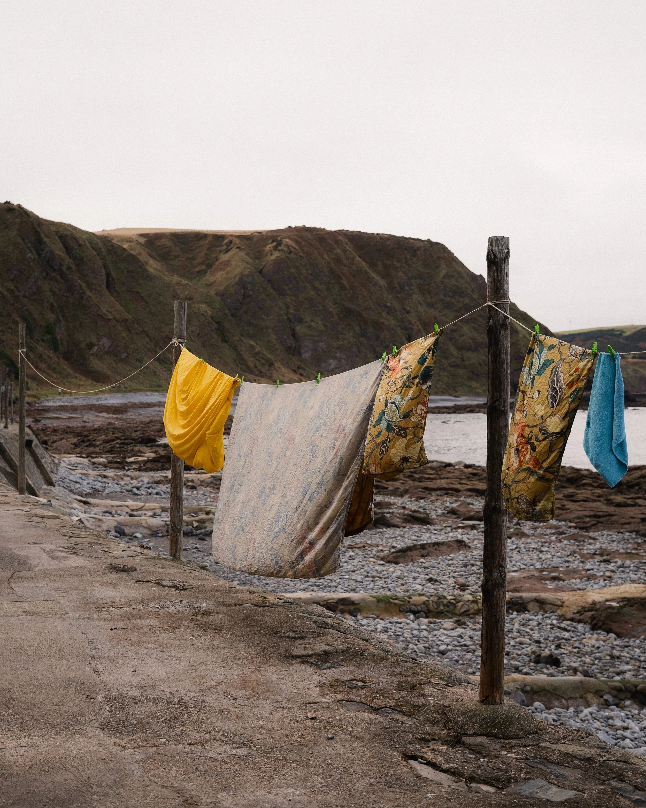 Crovie -1.jpg