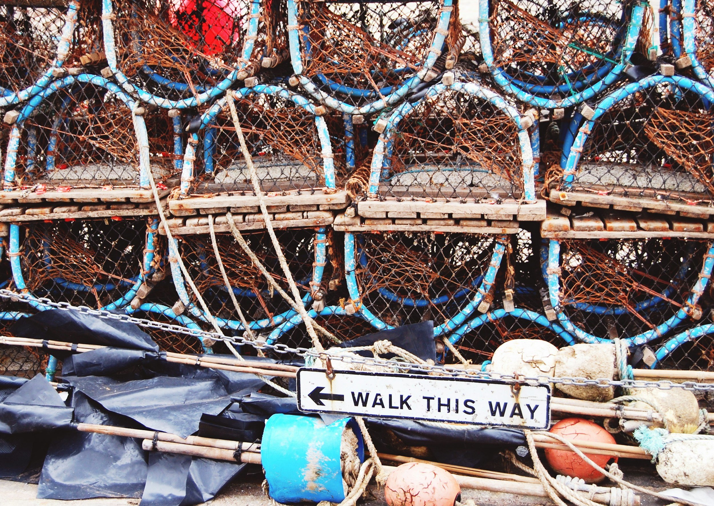 Surf & Turf: Love Letters to the Land & Sea
