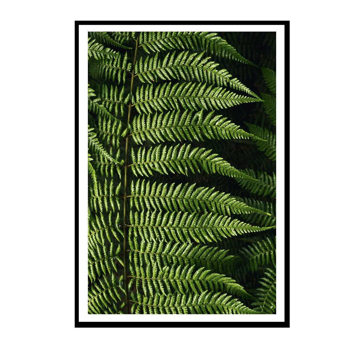 greenhug.png