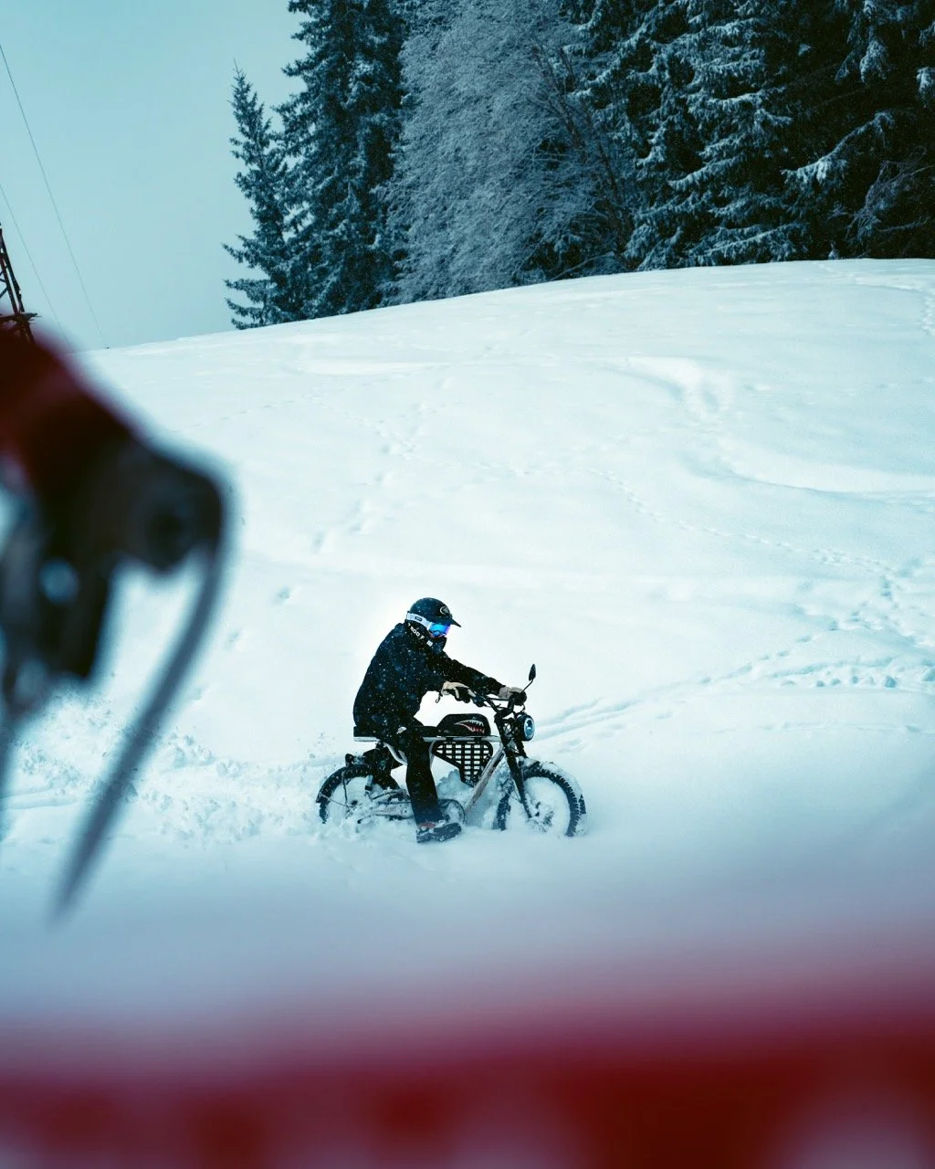 DSC_7205 - Grande.jpeg