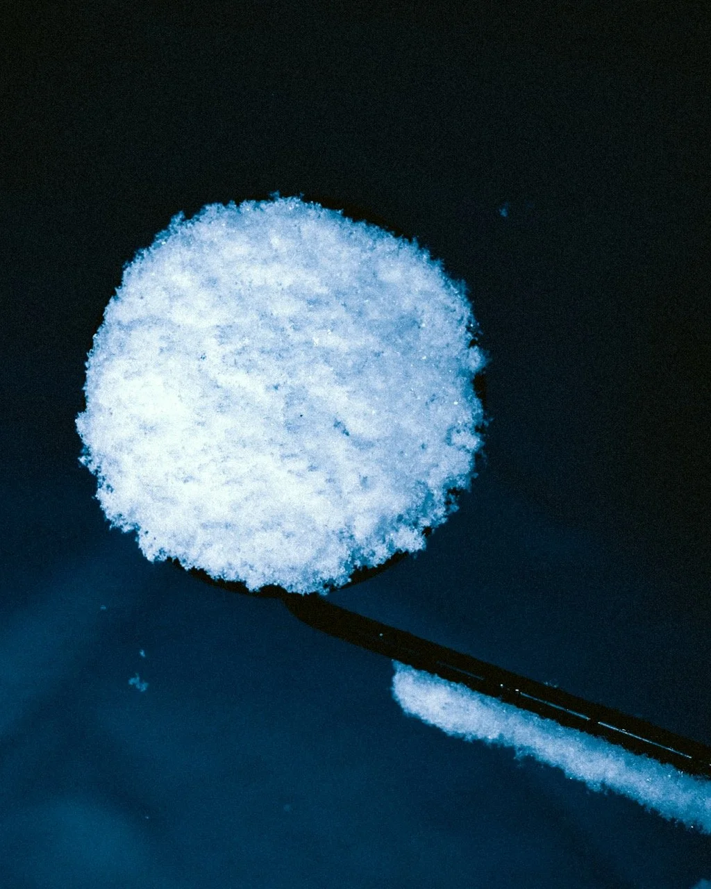 DSC_6700 - Grande.jpeg