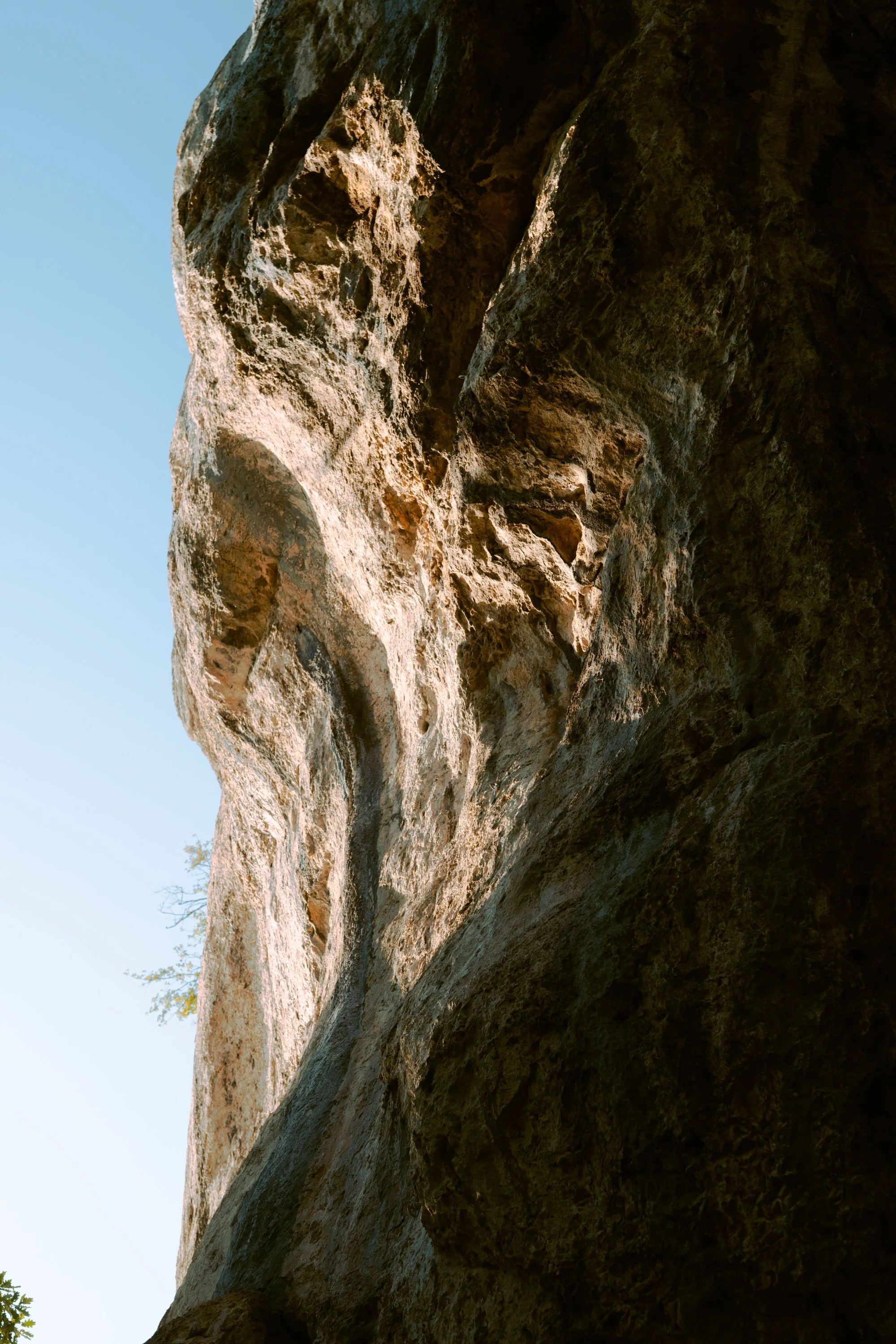_DS26467.jpg