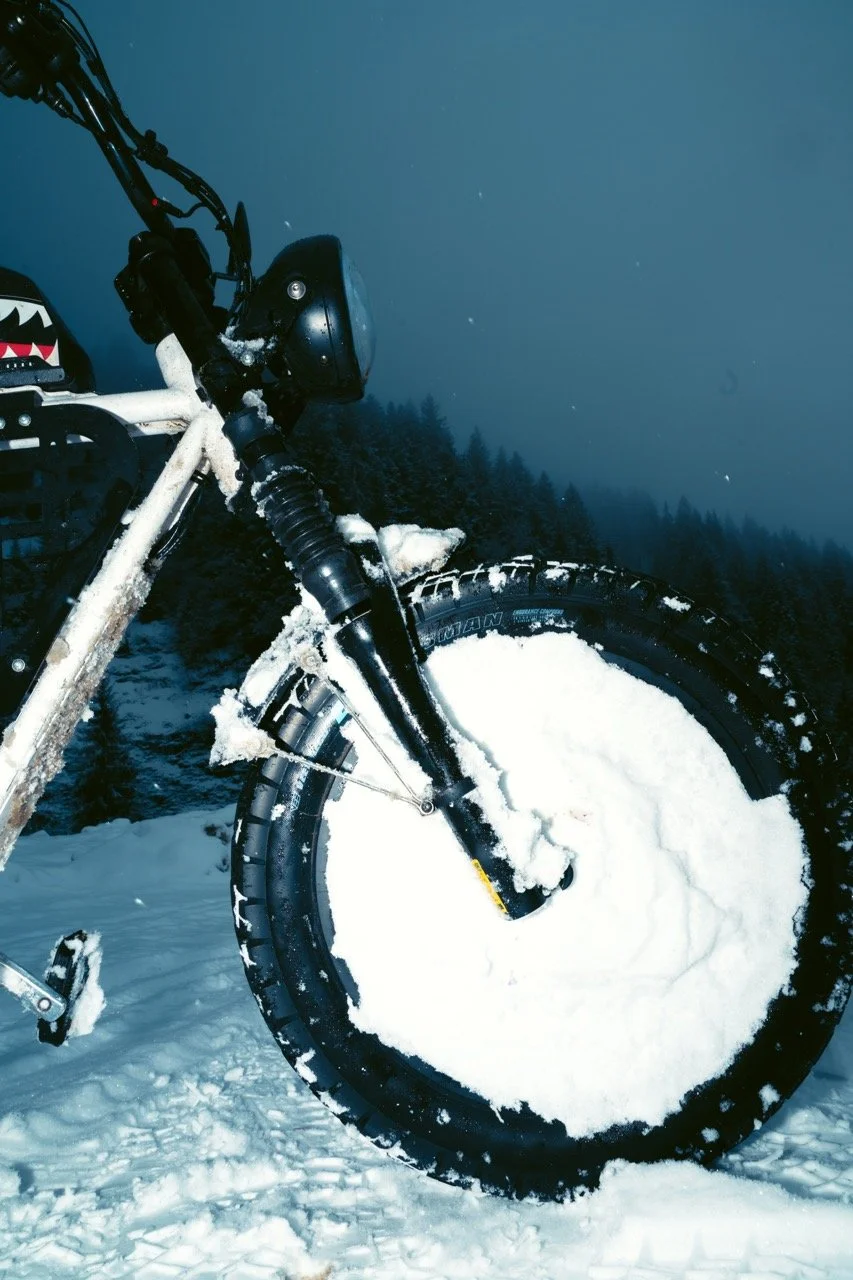 DSC_7242 - Grande.jpeg