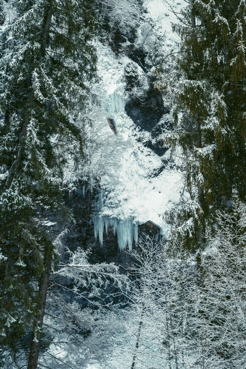 DSC_7019 - Grande.jpeg