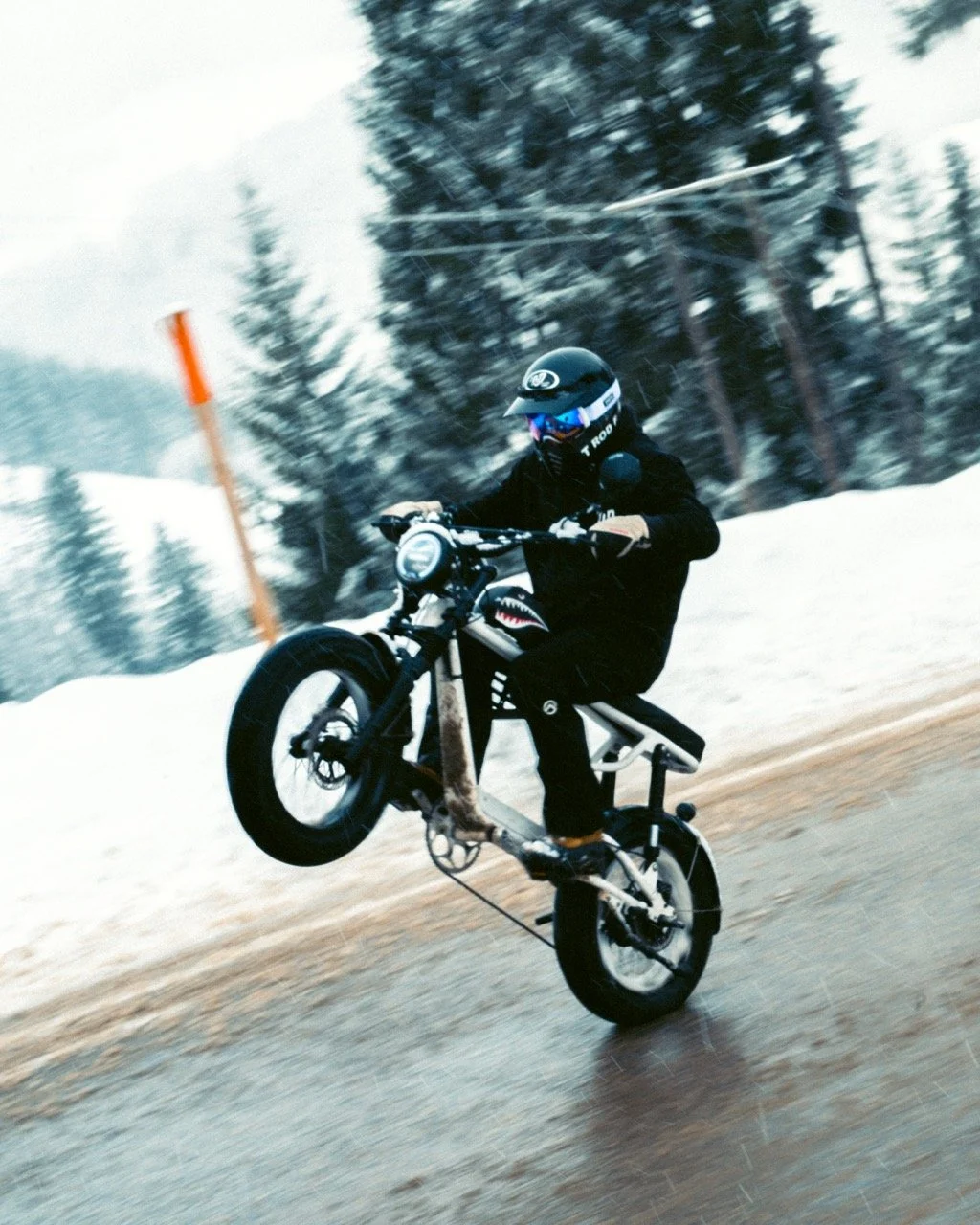 DSC_6798 - Grande.jpeg