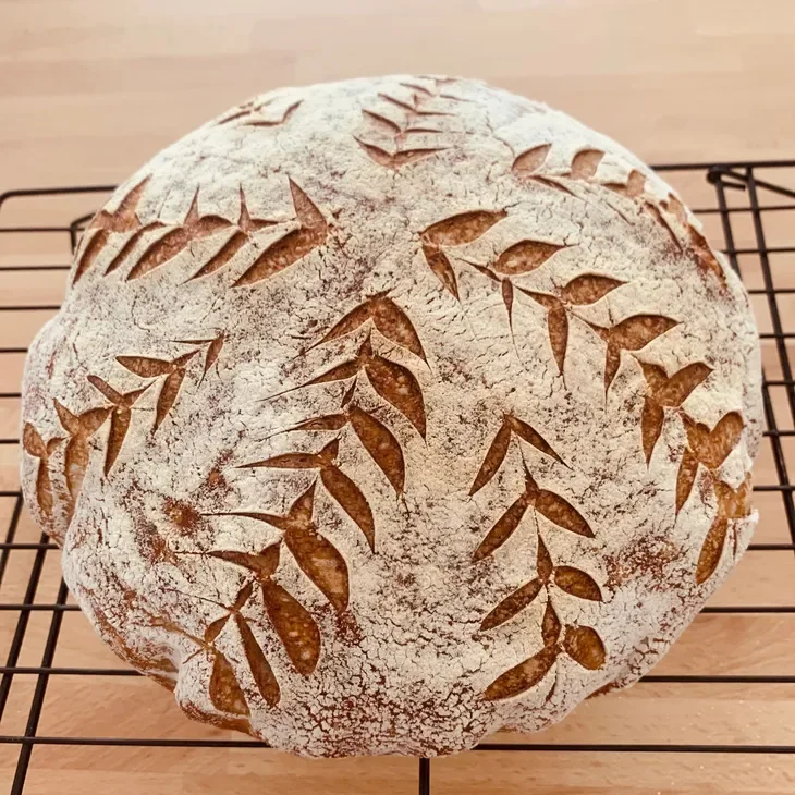 Why a Vision Board is like a Sourdough Starter