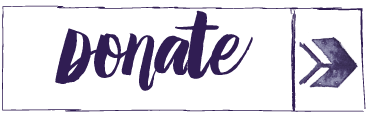 Donate button for Dane Dances!
