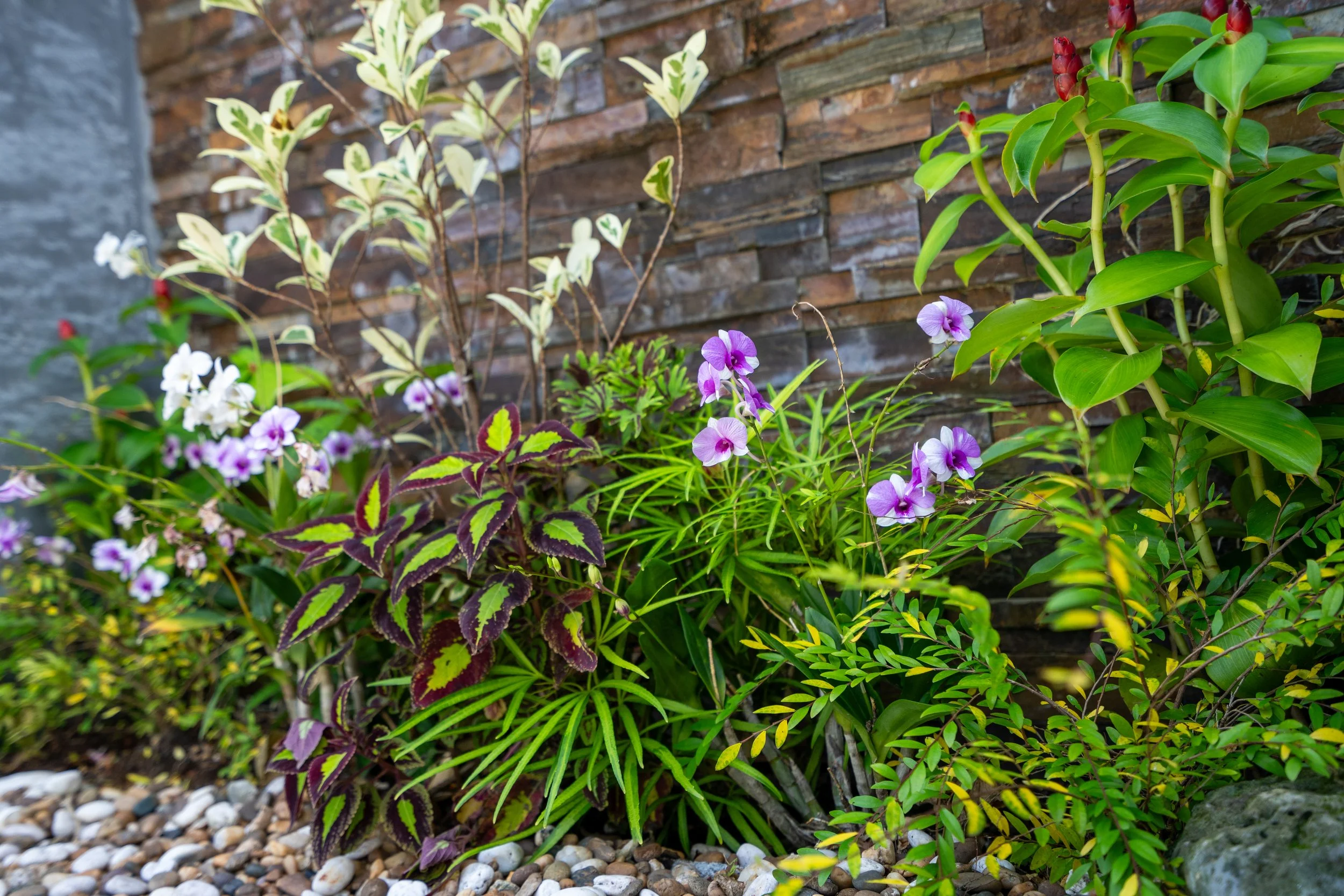 Sai Naam Area-29.jpg