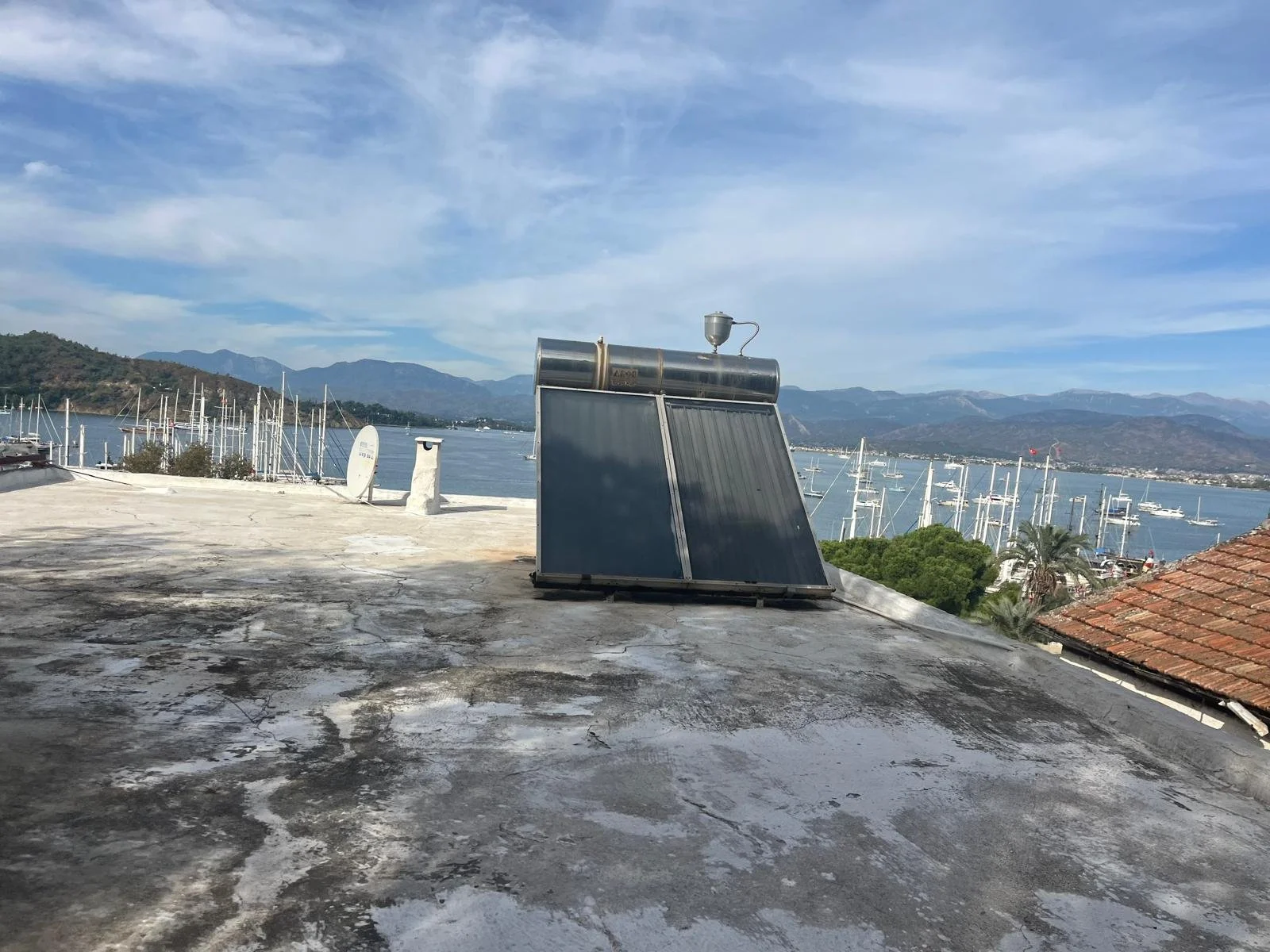 WhatsApp Image 2026-01-08 at 12.31.12 (3).jpeg