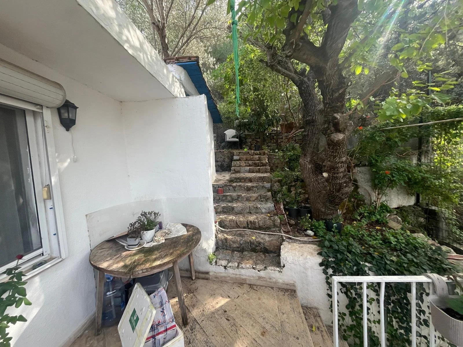 WhatsApp Image 2026-01-08 at 12.31.12.jpeg