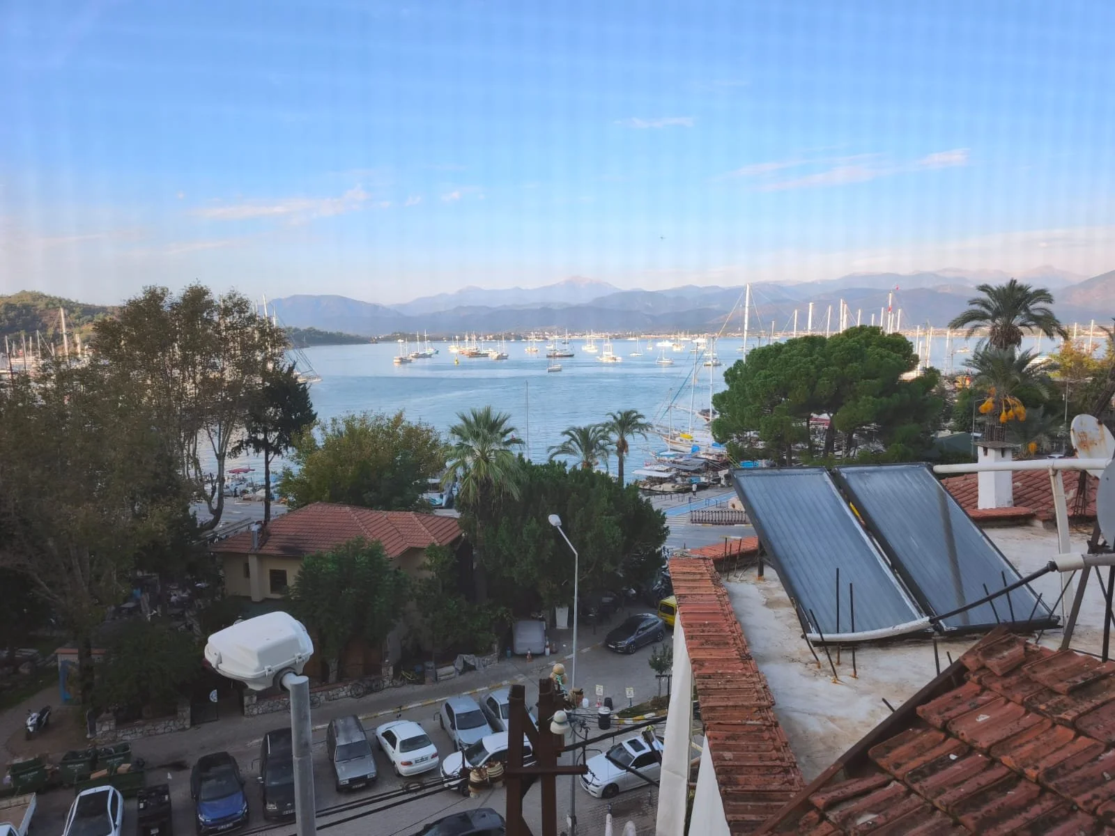 WhatsApp Image 2026-01-08 at 12.31.17 (1).jpeg