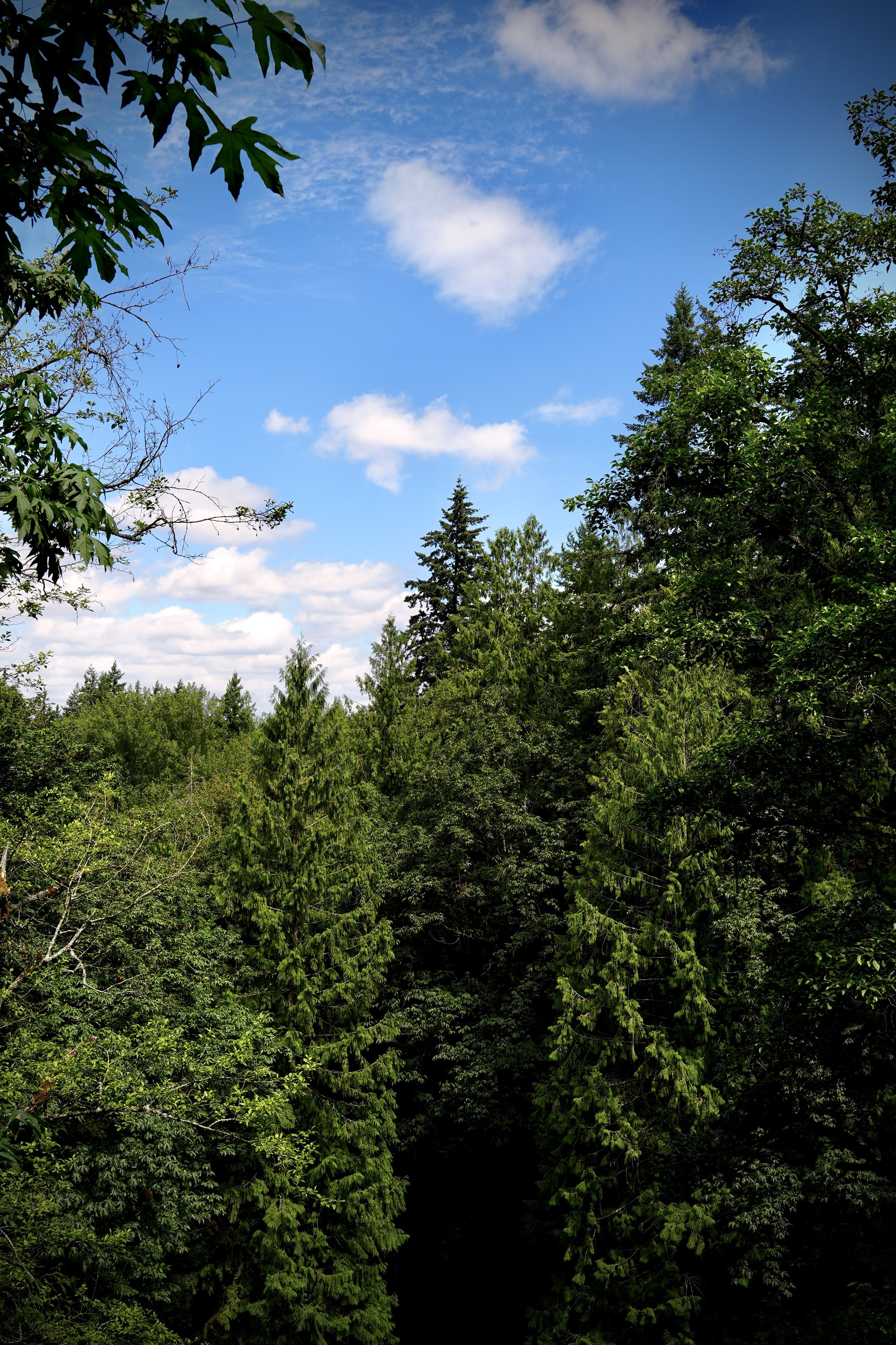 DSC05755.JPG