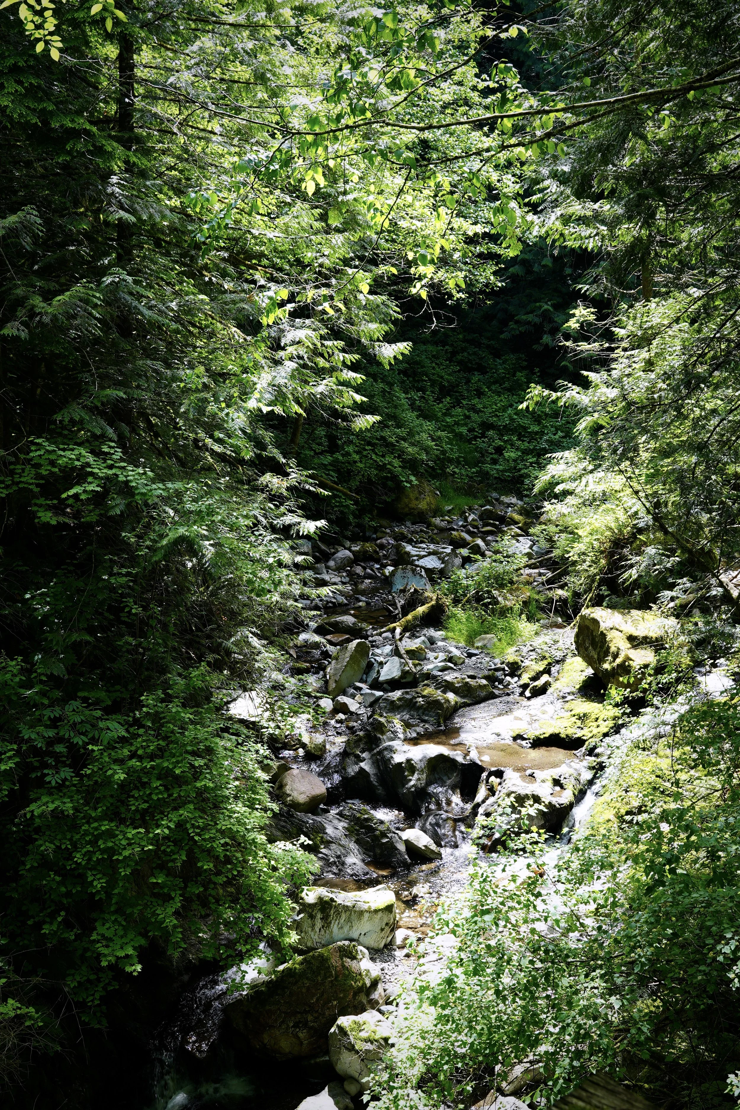 DSC05746.JPG