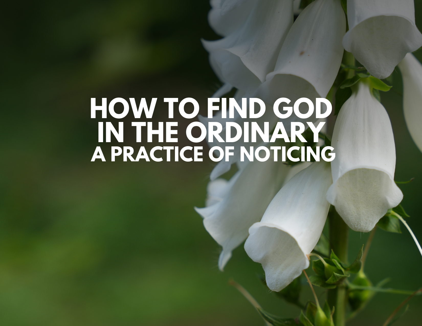 The Practice of Noticing