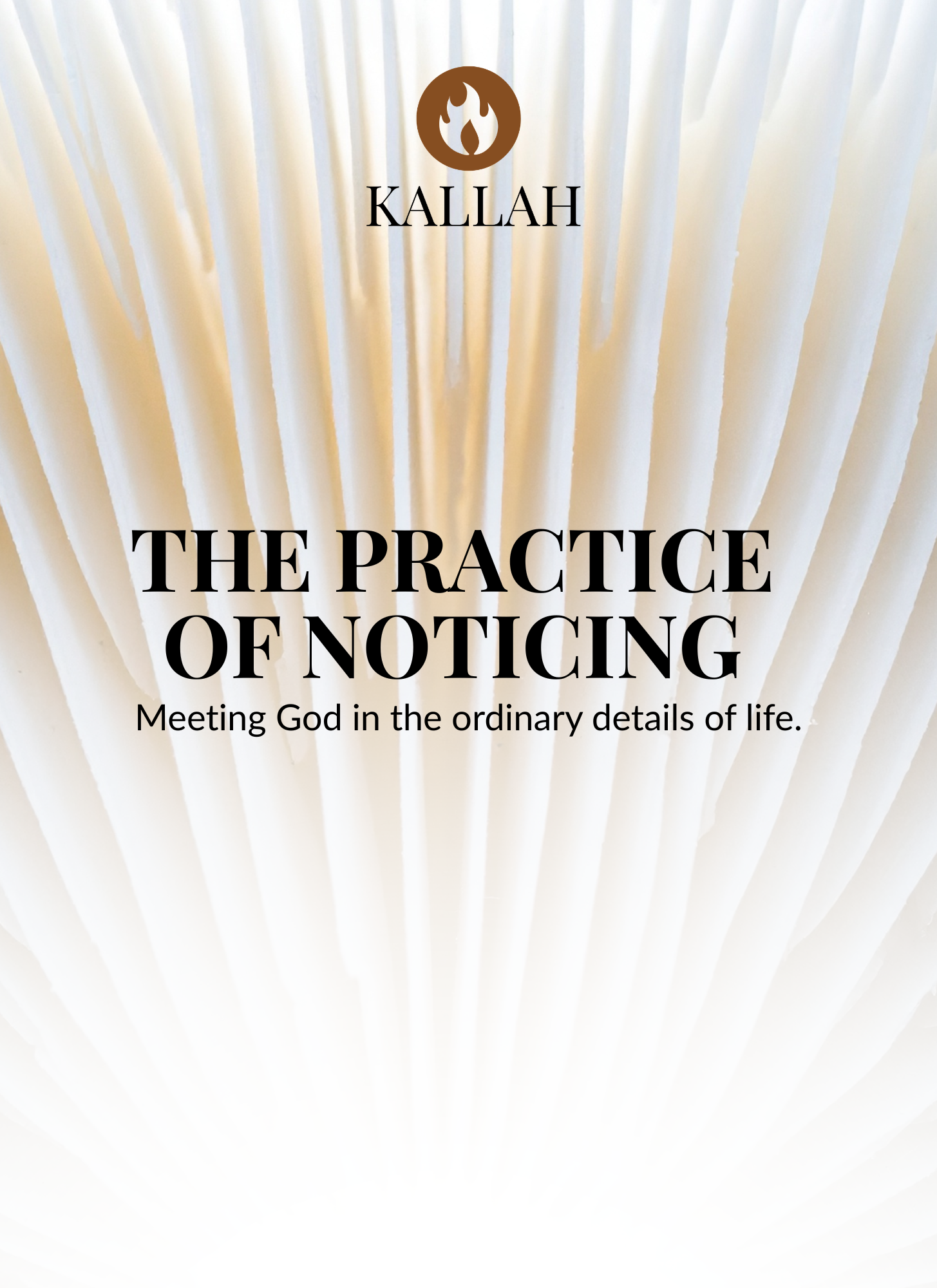 The Practice Of Noticing