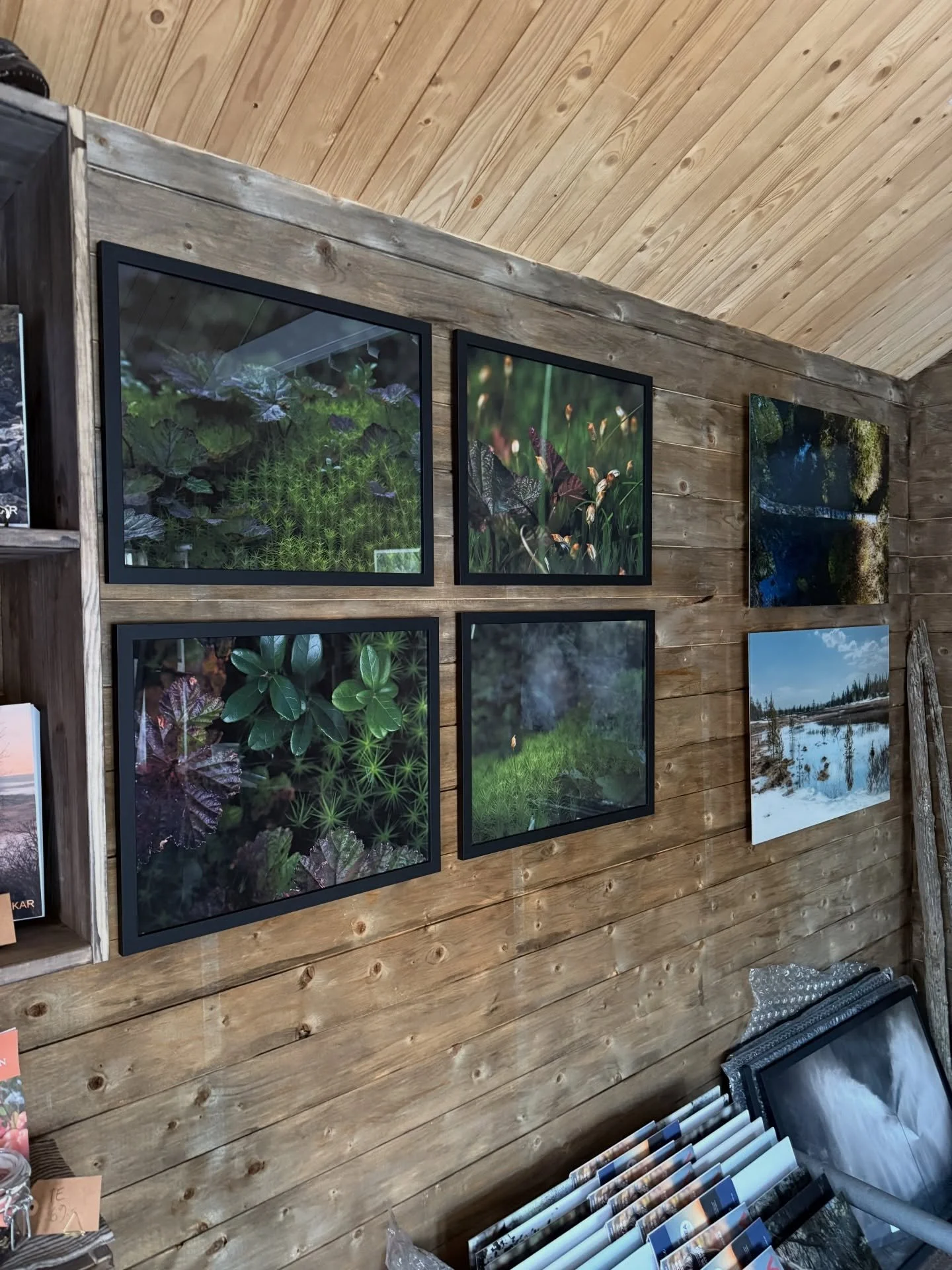 V&aring;rvinterk&auml;nslan ute ger mig lust att h&auml;nga nytt i g&aring;rdsbutikens galleri. Nu finns den gr&ouml;na kollektionen inramad i 50x40. V&auml;lkommen f&ouml;rbi. &Ouml;ppet till 17 idag ☀️

🏠 Jutbacken 2, Vemdalen by