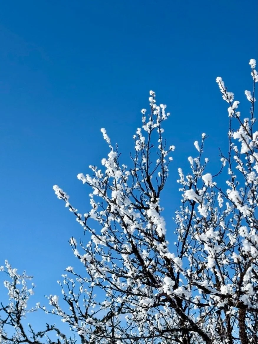 Vemdalen levererar sol och fantastiskt v&auml;der till alla P&aring;sklovsfirare. Vilken finalvecka - perfekta dagar &auml;ven f&ouml;r exteri&ouml;rbilder 📸☀️🤍

#vemdalen #vemdalenalla&aring;rstider #p&aring;sklovifj&auml;llen