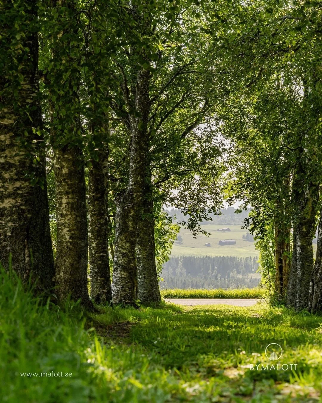 N&auml;r det &auml;r l&auml;get som s&auml;ljer, beh&ouml;ver bilderna ber&auml;tta om platsen. N&auml;r jag fotograferade den h&auml;r fastigheten p&aring; Fr&ouml;s&ouml;n var m&auml;klaren tydlig fr&aring;n b&ouml;rjan. Det &auml;r inte den &auml;