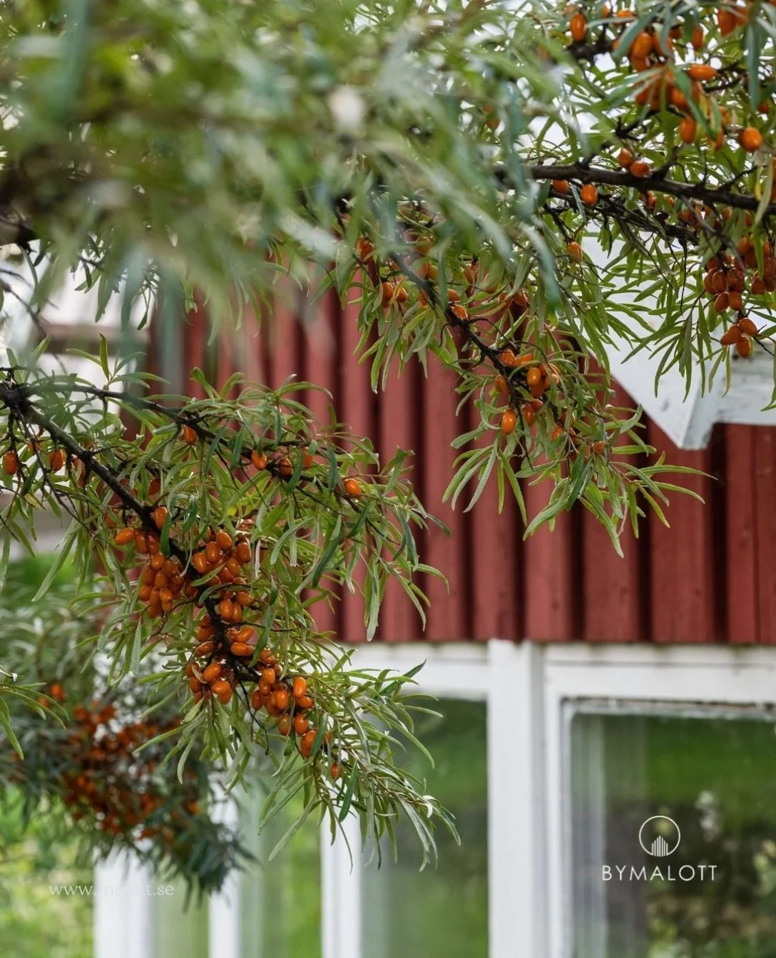 Jag &auml;r mitt uppe i processen att v&auml;lja ut 5&ndash;6 bilder som ska f&aring; representera mig som utvald bostadsfotograf och en del av @hfagency_swe

Och det &auml;r sv&aring;rare &auml;n man f&ouml;rst kan tro.

F&ouml;r det handlar inte ba
