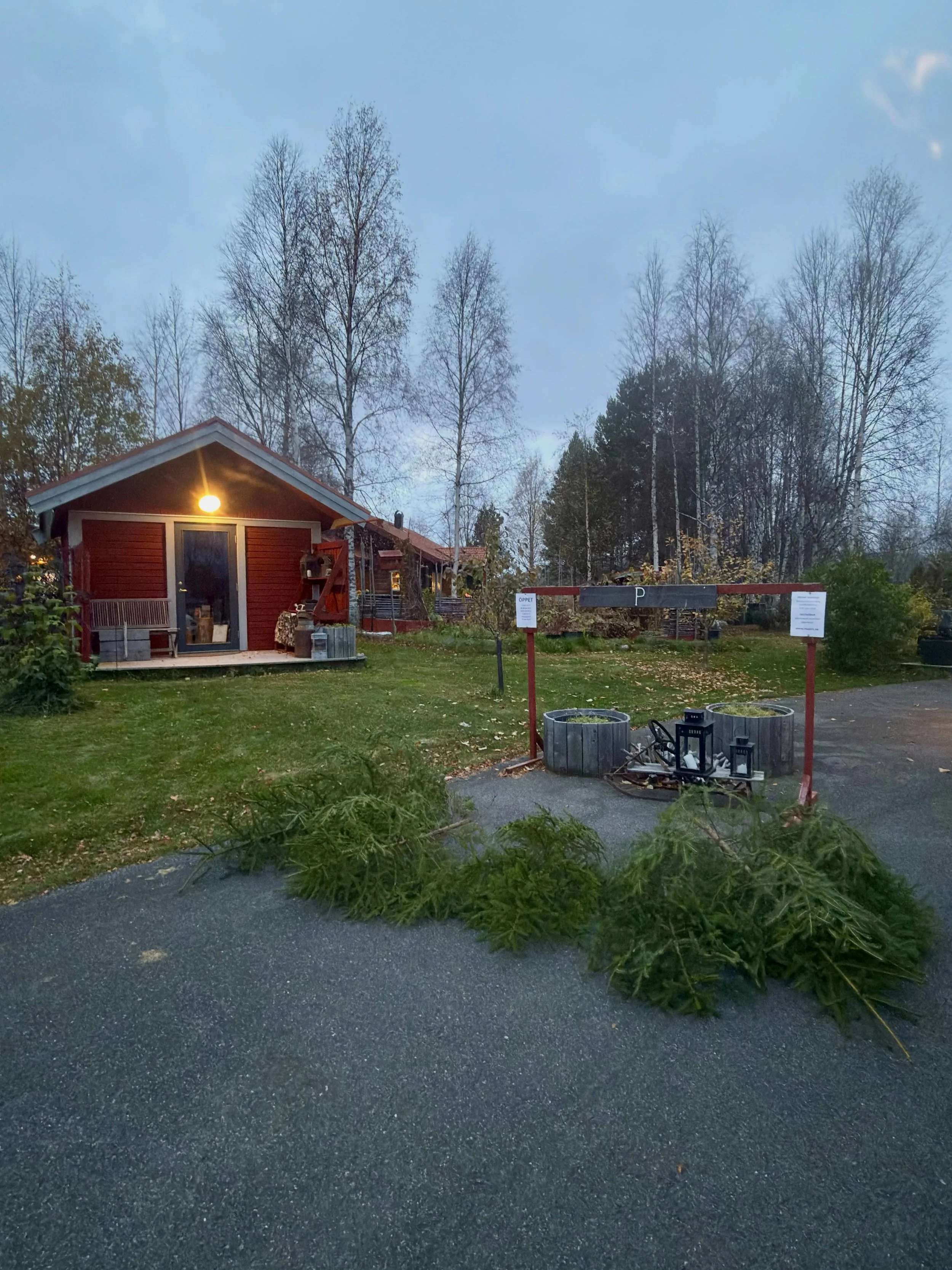 En sv&auml;ng ut i skogen hemma hos en god v&auml;n f&ouml;r att h&auml;mta granar och ris 🌲🤎 Nu b&ouml;rjar det h&auml;nda grejer h&auml;r hos byMalott och g&aring;rdsbutiken pyntas inf&ouml;r nypremi&auml;ren p&aring; l&ouml;rdag.

Lite gr&ouml;n