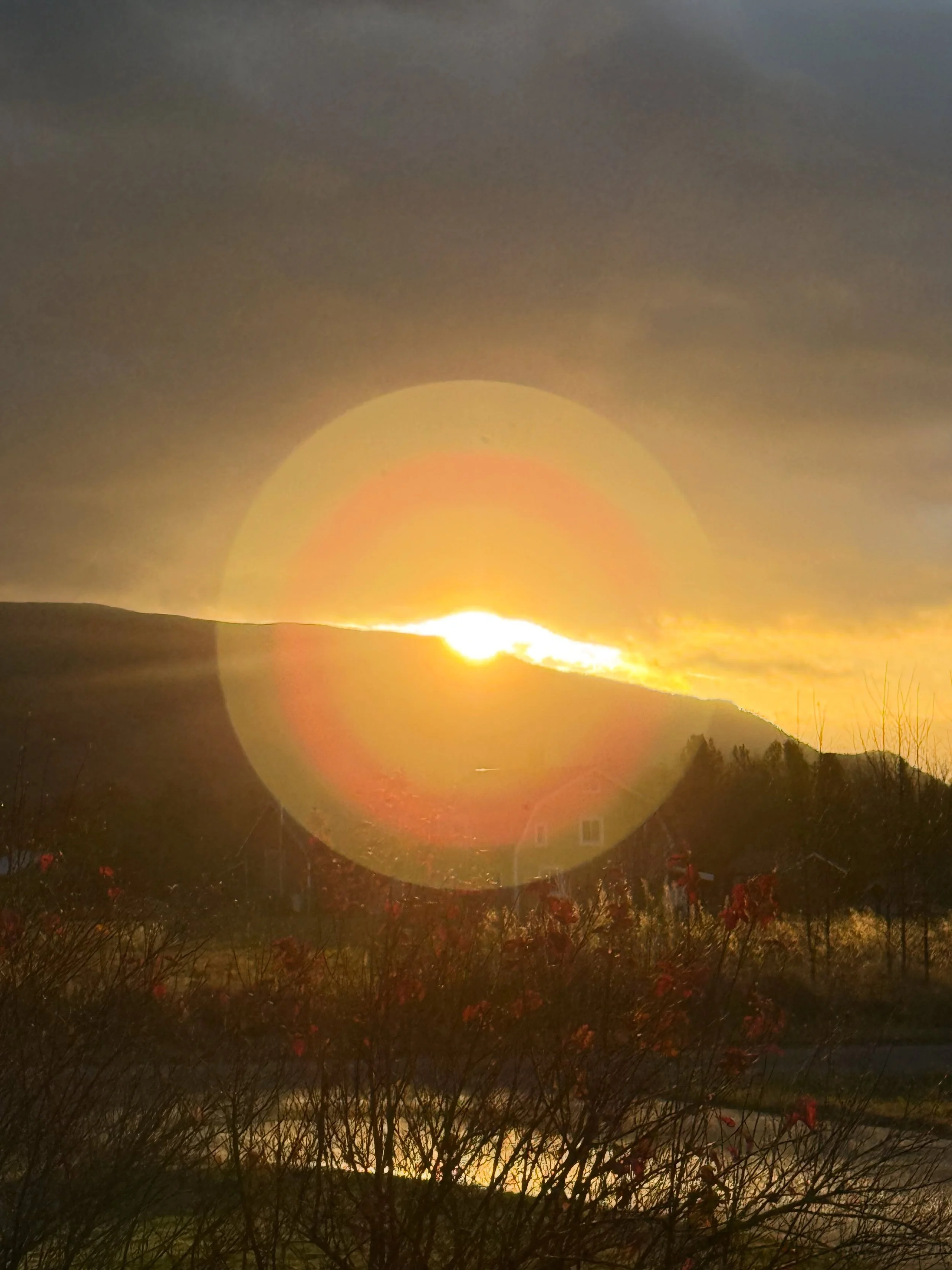 Solen g&aring;r upp &ouml;ver Bj&ouml;rnrike och g&aring;rdsbutiken &auml;r redo f&ouml;r fyra dagar &ouml;ppet i g&aring;rdsbutiken p&aring; Jutbacken 2 i Vemdalen by. Det &auml;r omskyltat med m&auml;ngder av specialerbjudanden &ouml;ver Lodge &amp