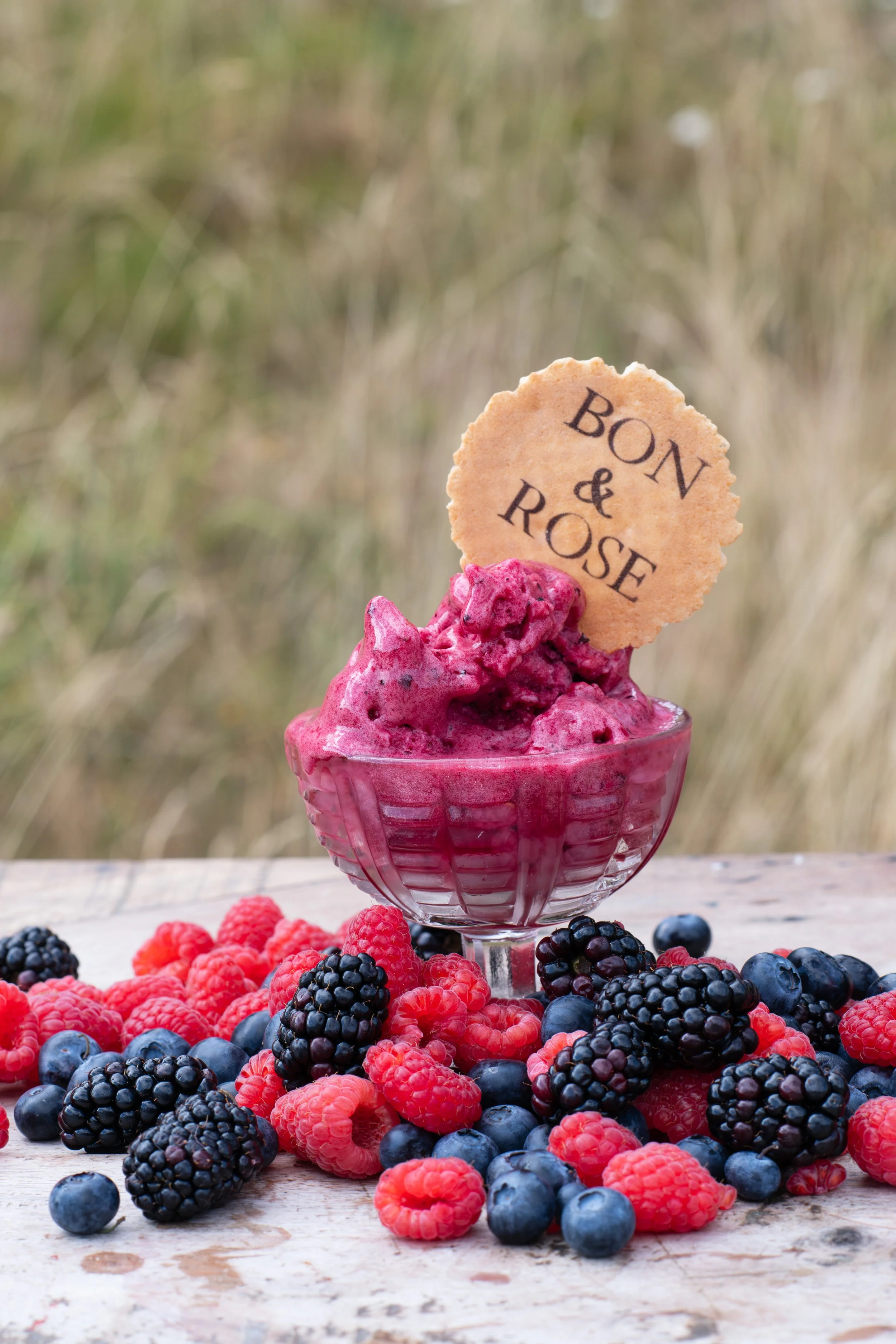 BonRose_73.jpg