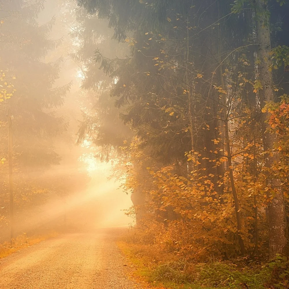 Life, Death and The Mystery
