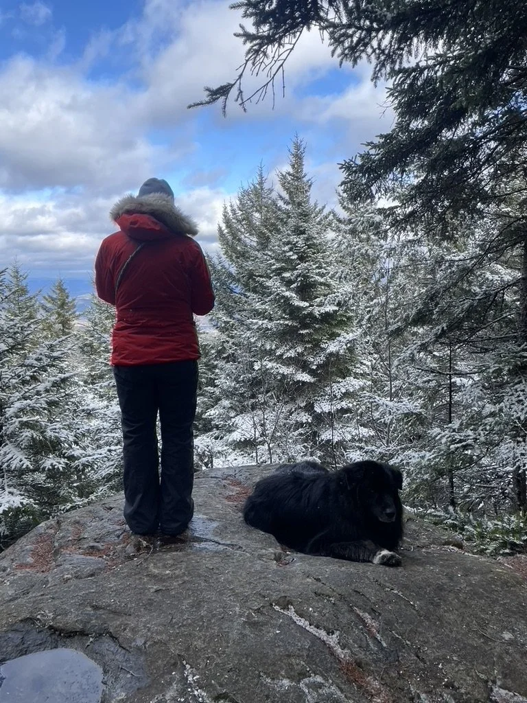 Person in red winter jacket and black pants standing on a large rock overlooking snowy forest with evergreen trees, accompanied by a laying black dog with white markings.
