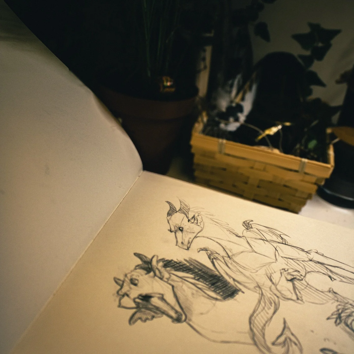 Dragon doodles! 🍂

#sketchbook #dragon #sketch #drawing #art #traditionalart #pencildrawing #pencil #dragonart