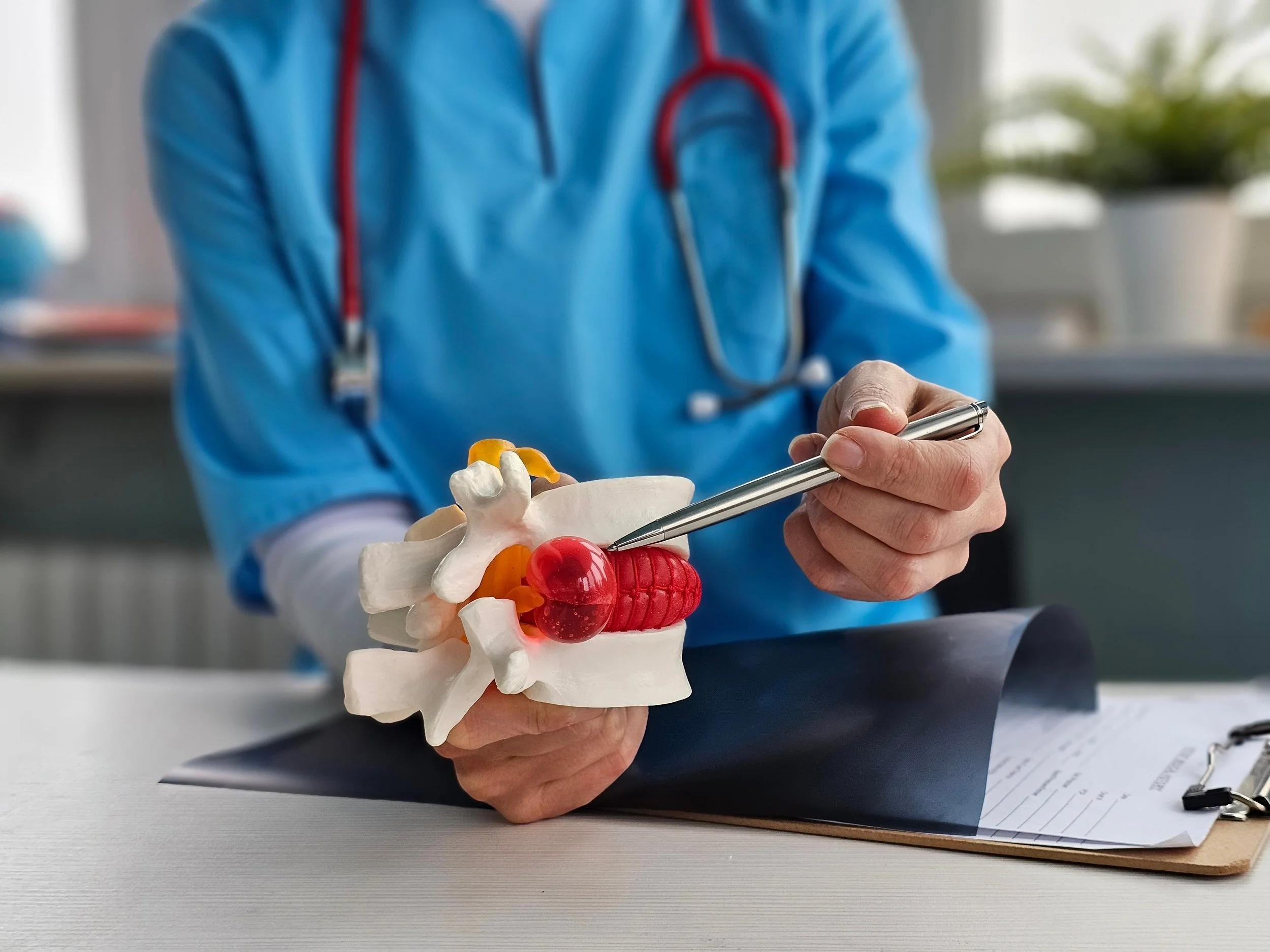 Médico a segurar um modelo anatômico da coluna vertebral.