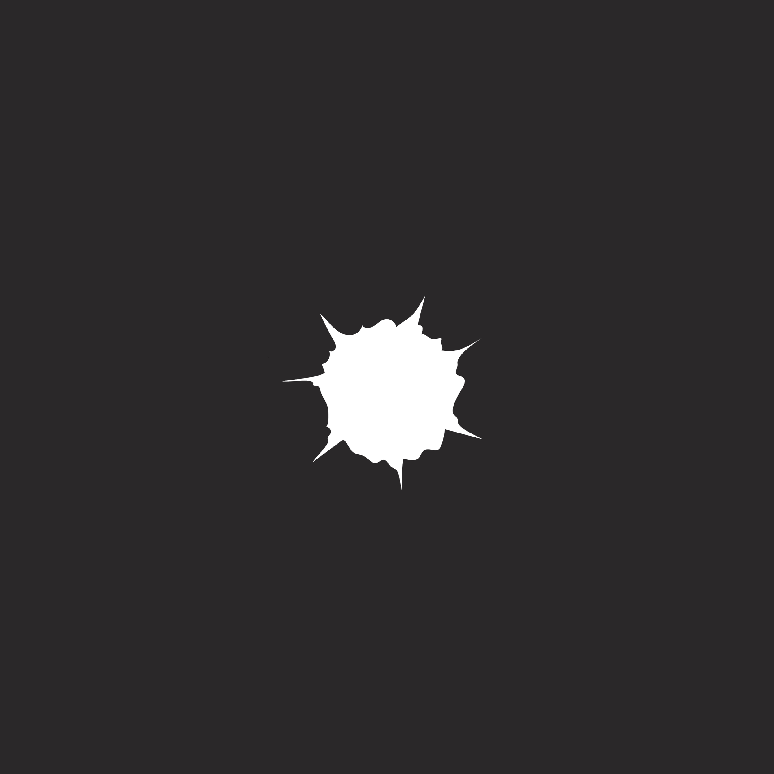 Rock Chip Image.png