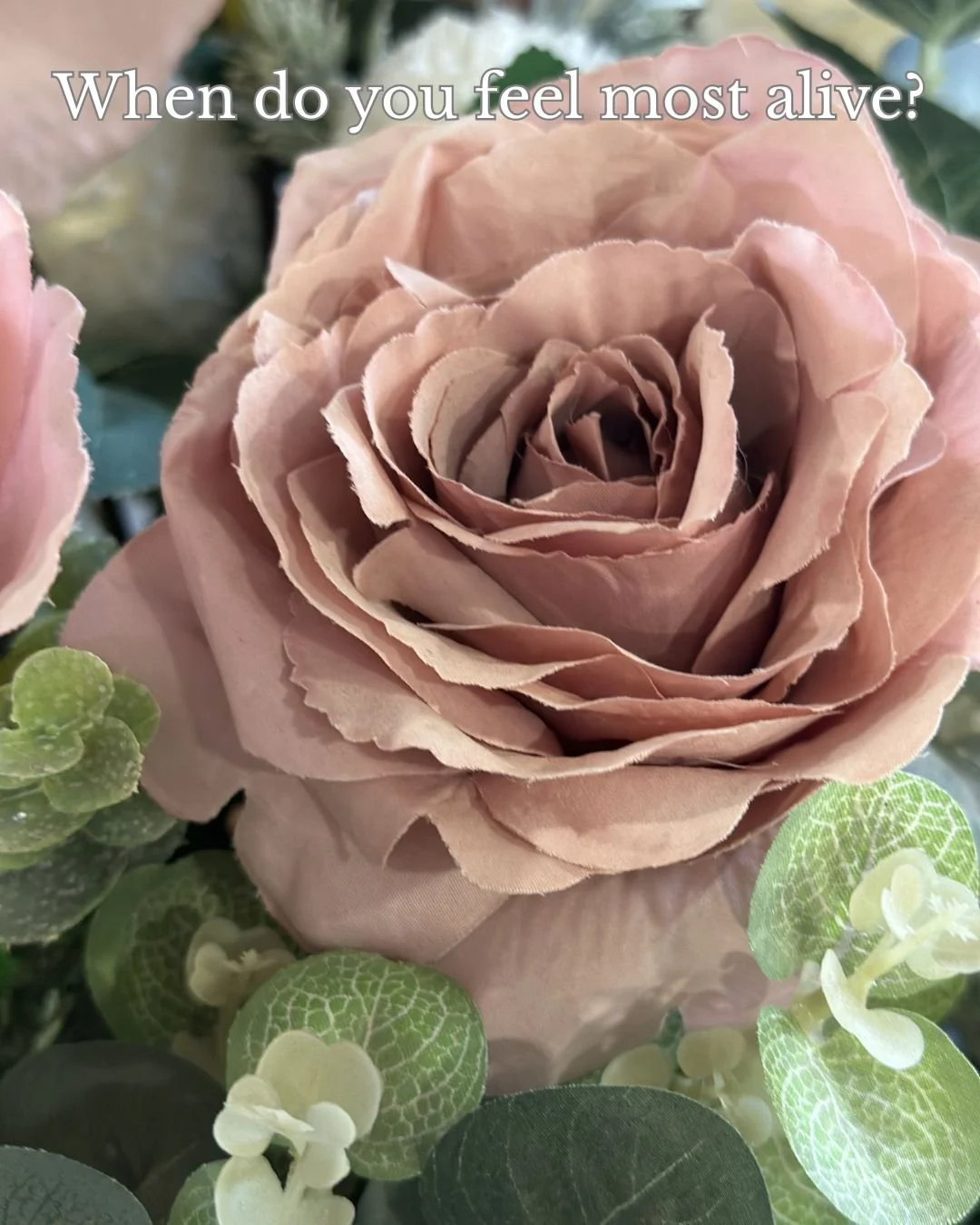 When do you feel most alive?
Not distracted. Not entertained. Alive.
That&rsquo;s your compass.
Tell me in the comments.