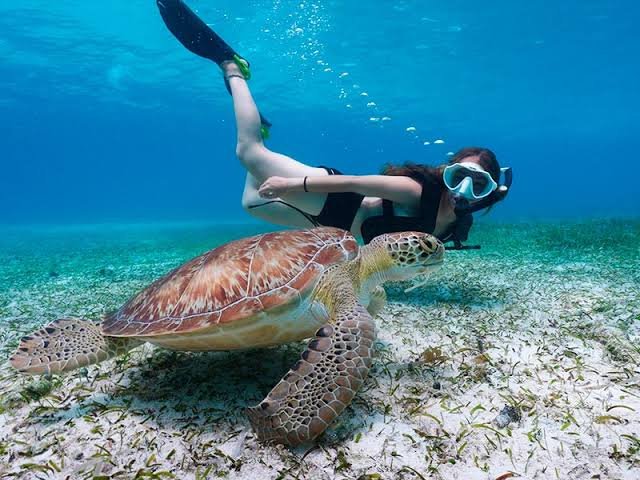 Snorkeling-2-min.jpg