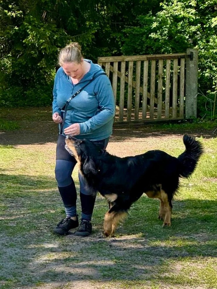 Frau mit blauer Jacke trainiert Hund in einem Park.
