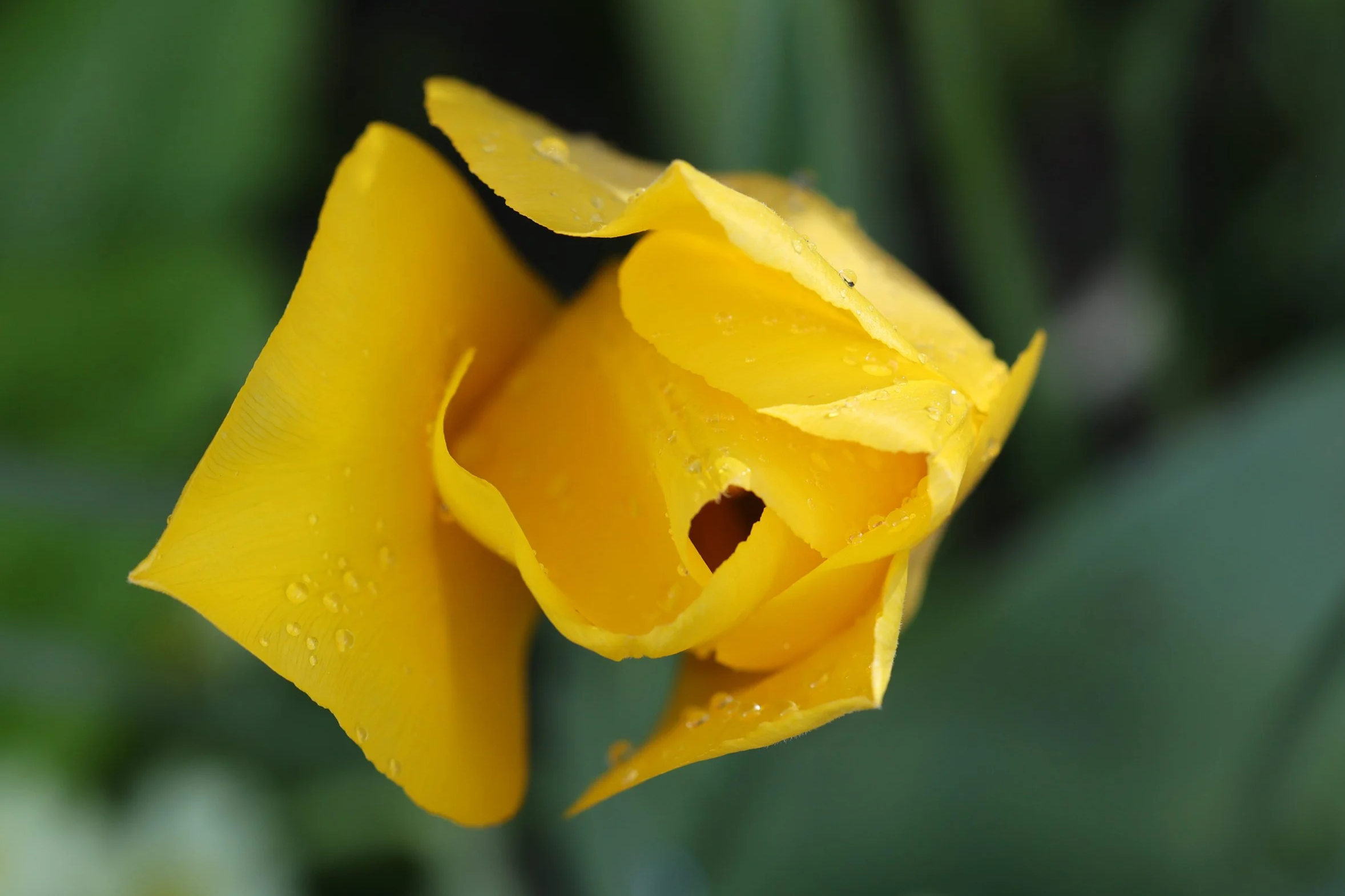 094A4379.png
