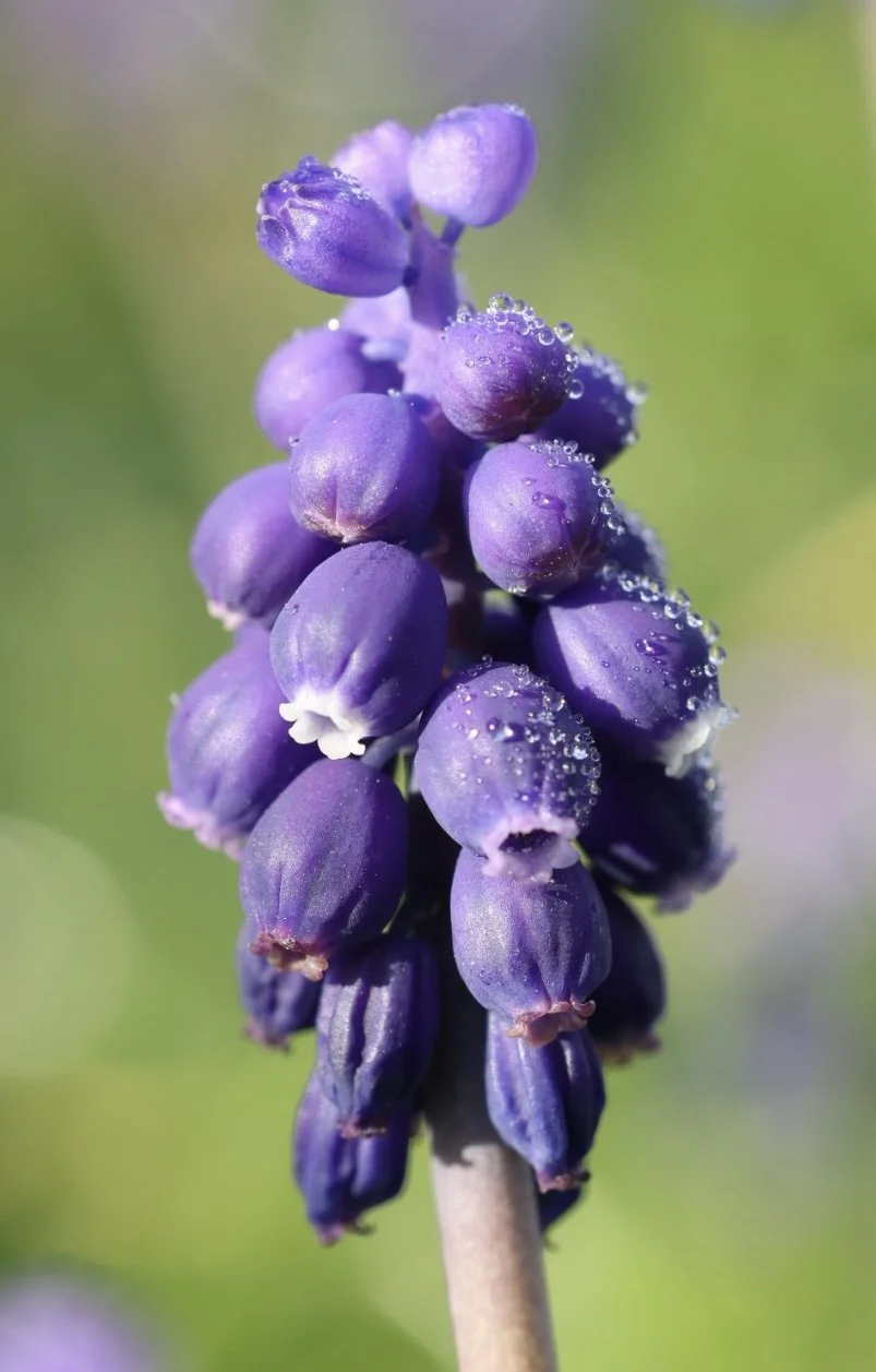 094A4342.JPG