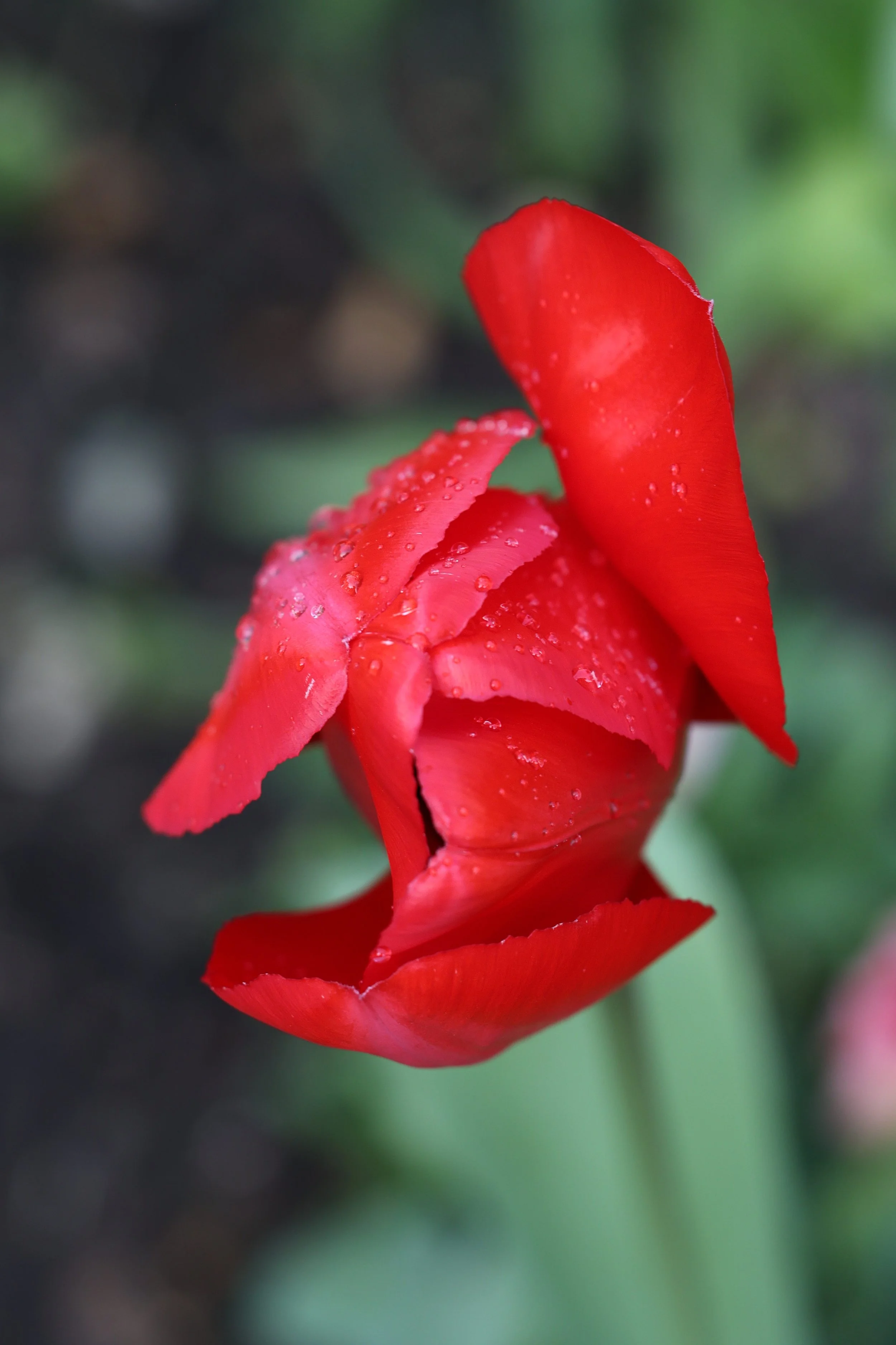 094A4392.JPG