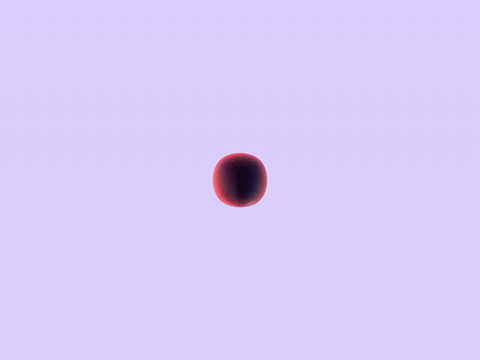 07_FROMPAMM-Watermelon-Sugar-1.gif