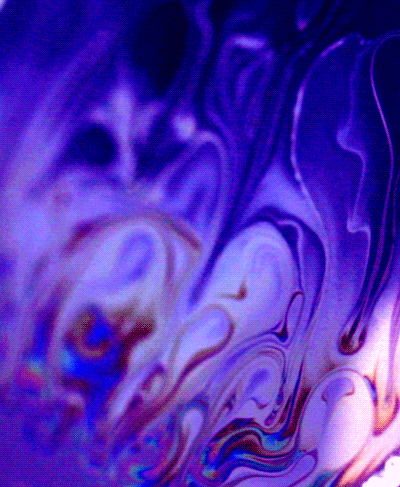 FROMPAMM---Book-Trailer-8.gif