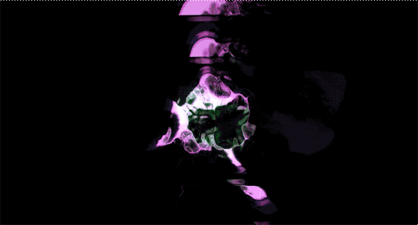 FROMPAMM-SGInsideOut-9.gif