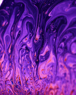 FROMPAMM---Book-Trailer-5.gif