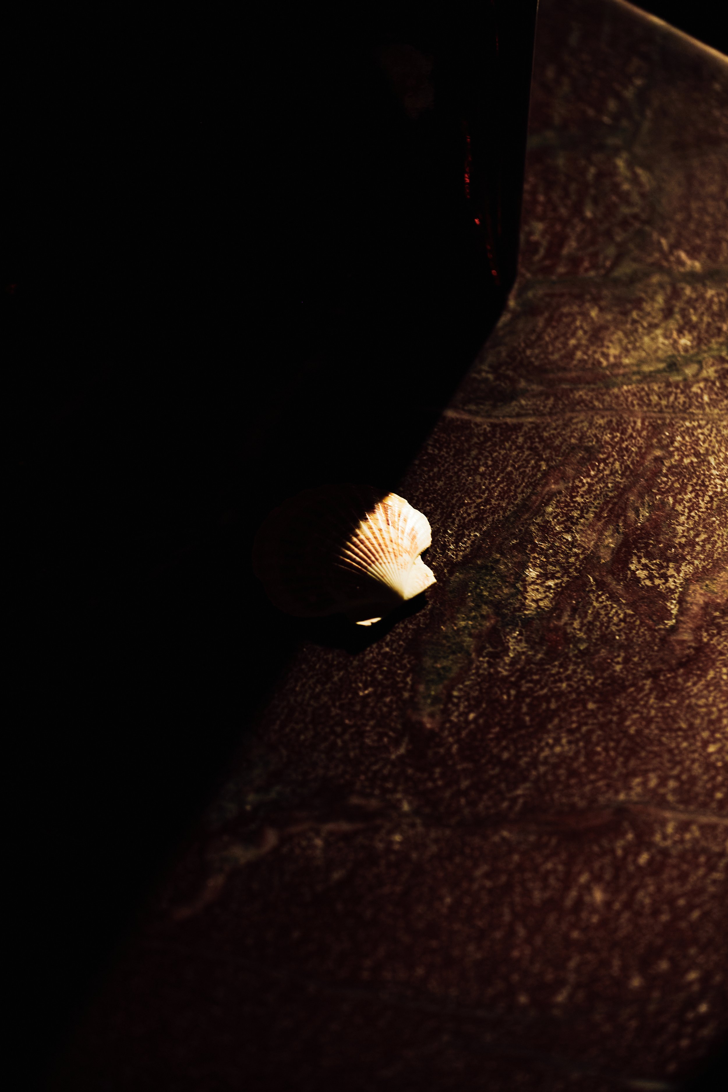 Dasha Kucher0240_edit1 1.jpg