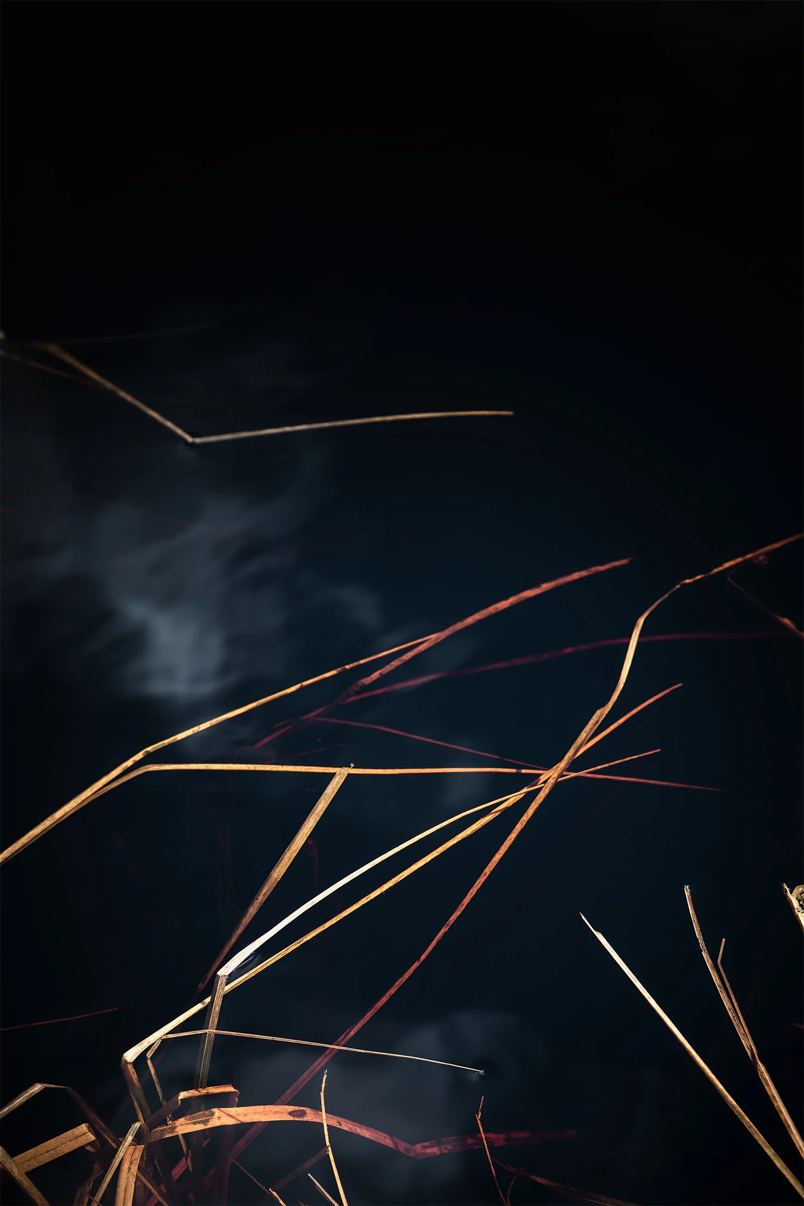 Kati Kalkamo fine art prints All life above all