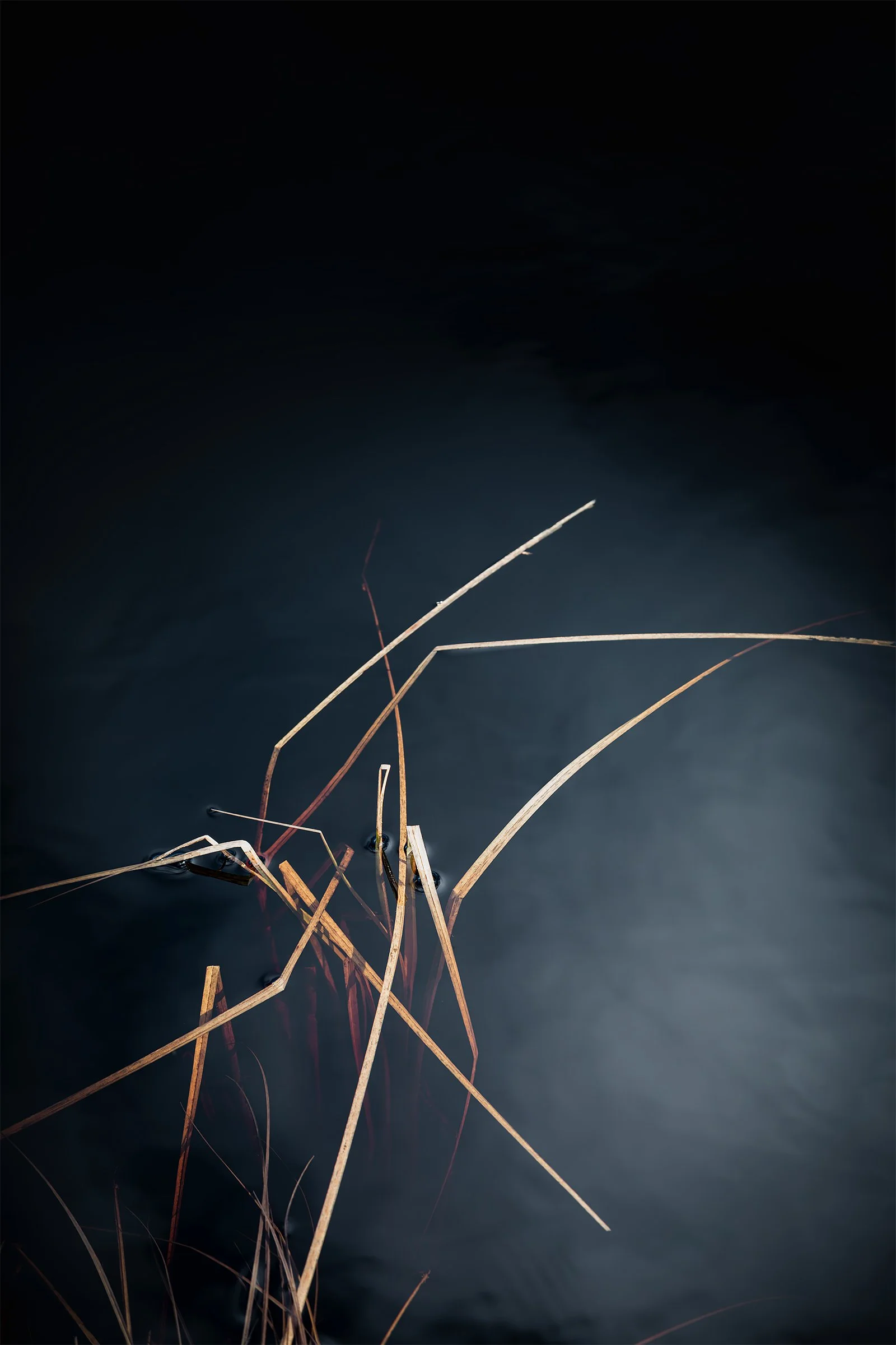 Kati Kalkamo fine art prints Trust the process