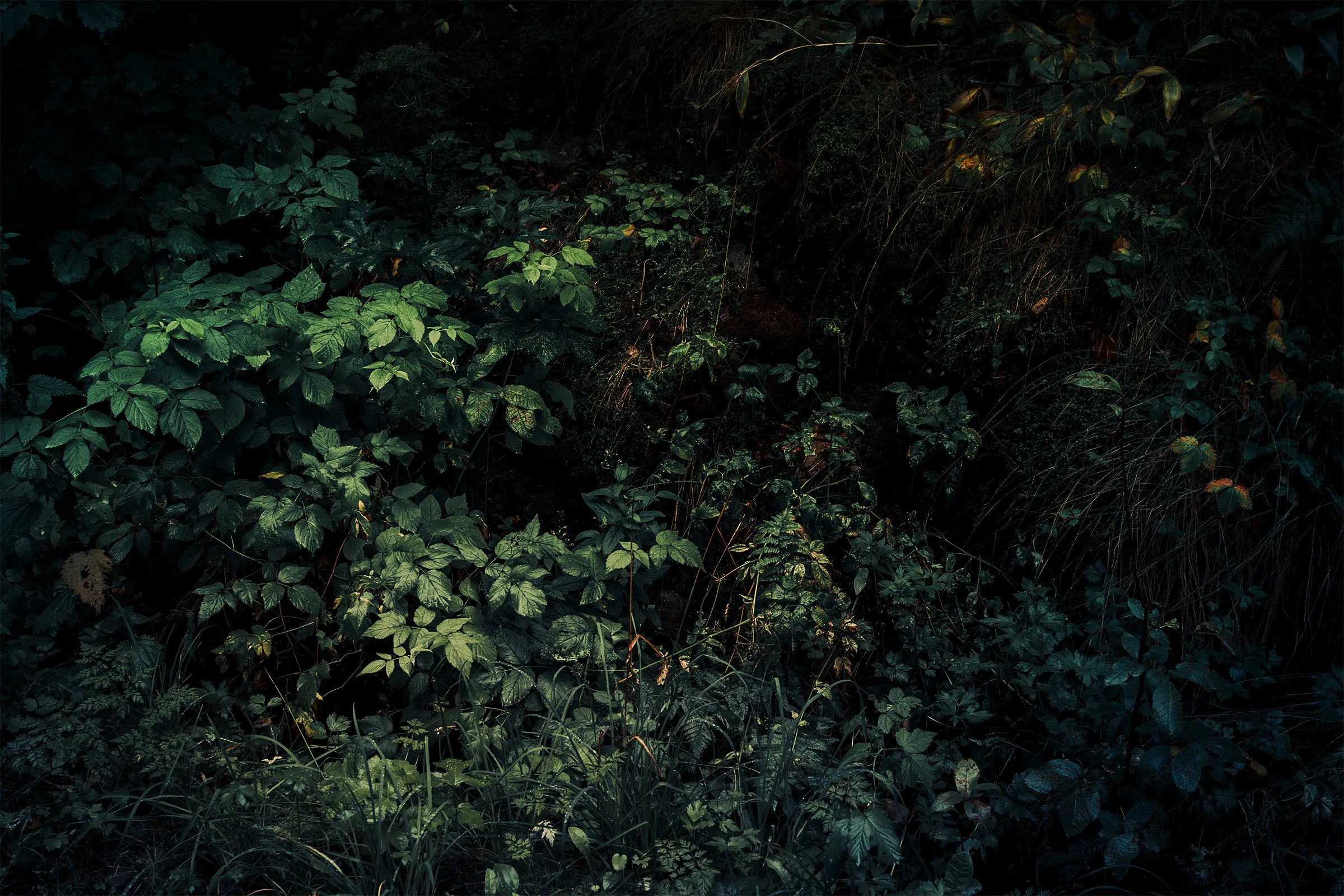 Kati Kalkamo fine art prints When we didn't waste our time