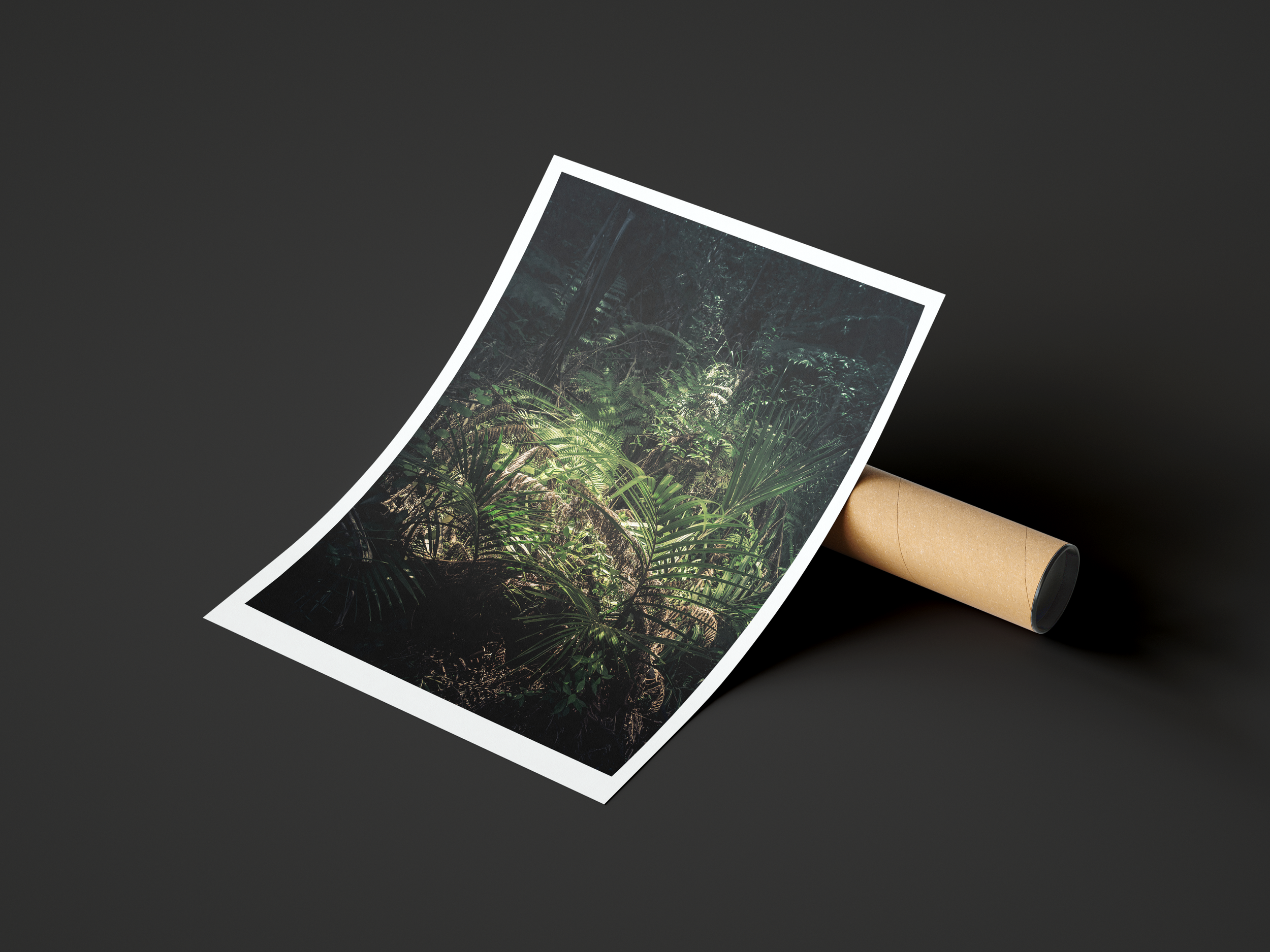 Kalkamo poster Peel.png