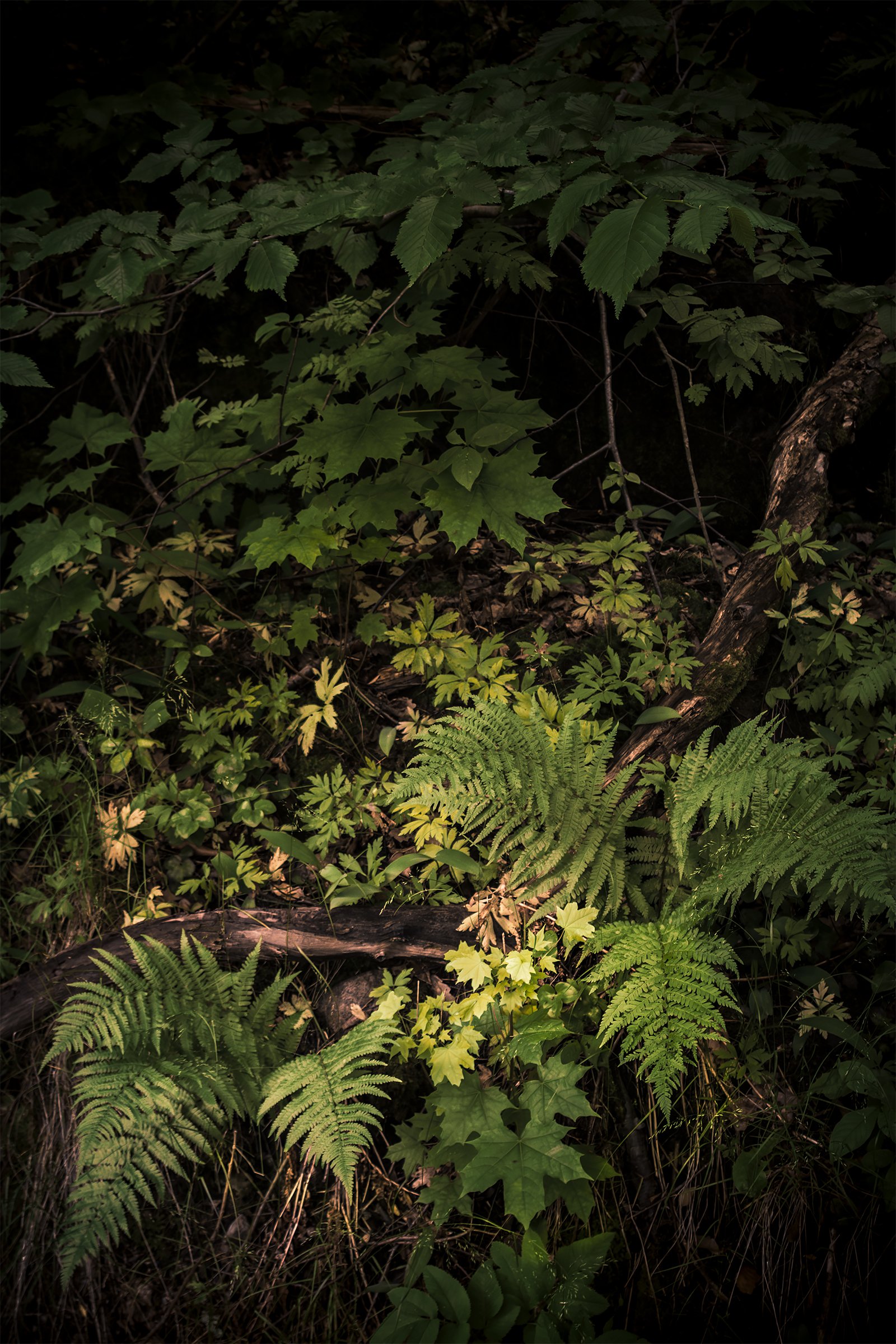 Kati Kalkamo fine art prints Place for everything