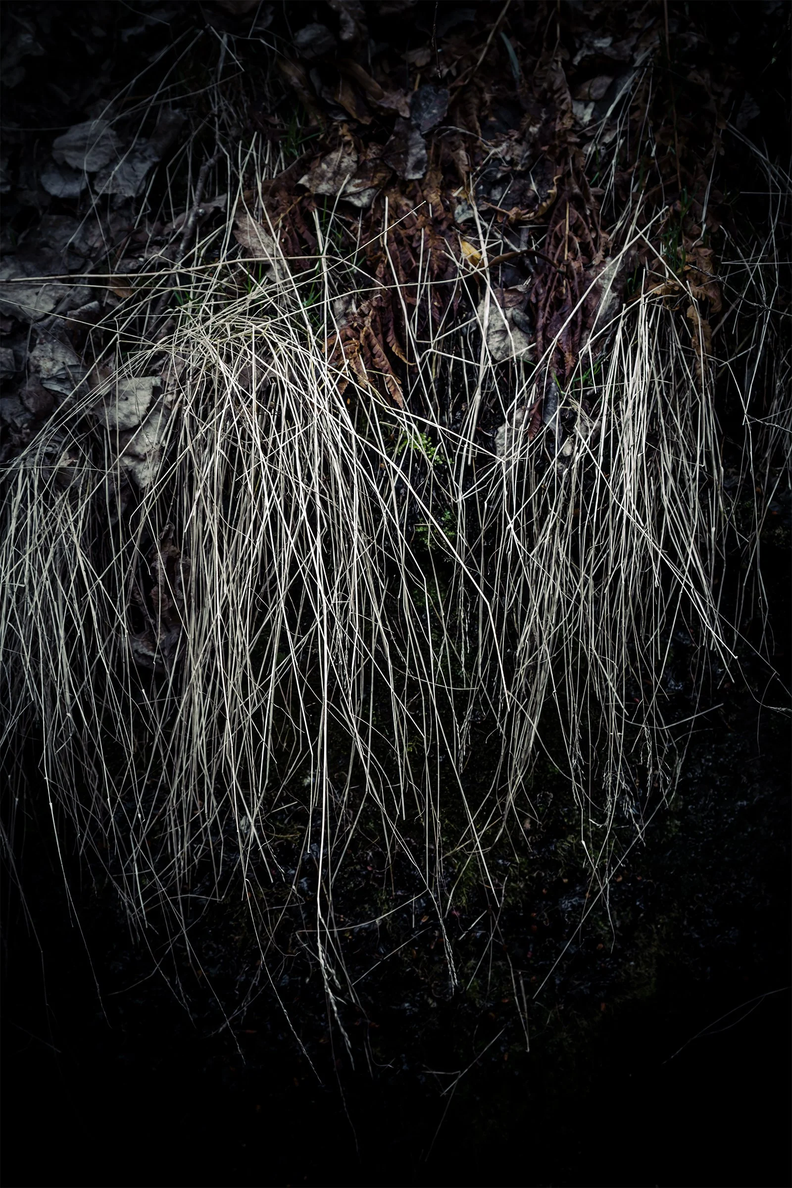 Kati Kalkamo fine art prints You won't get lost if you know your self