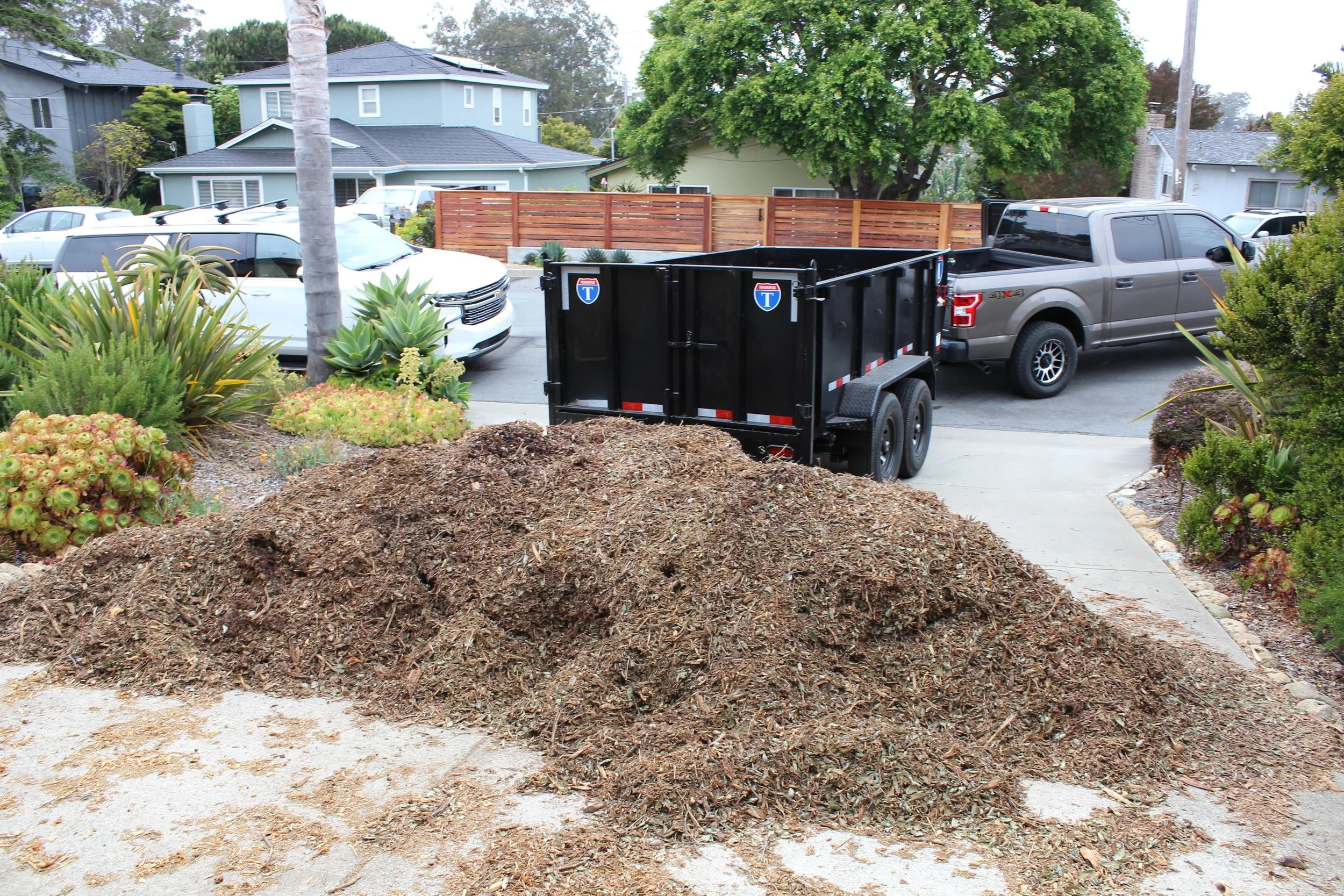 Loading a pile of bark in Los Osos CA, for a client of Clear Mind Junk Removal 